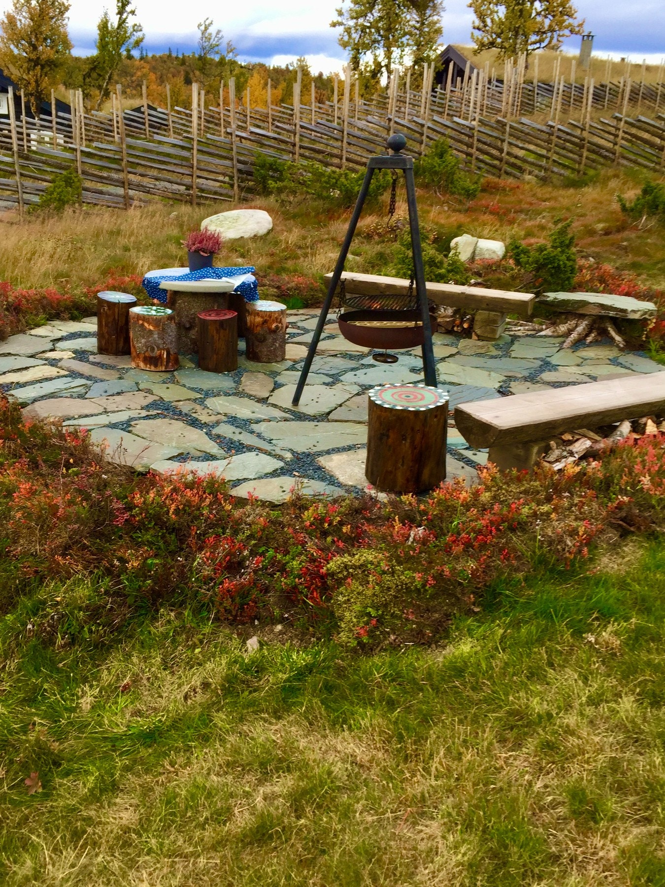 Selgers private bilde. Høststemning Galleribilde