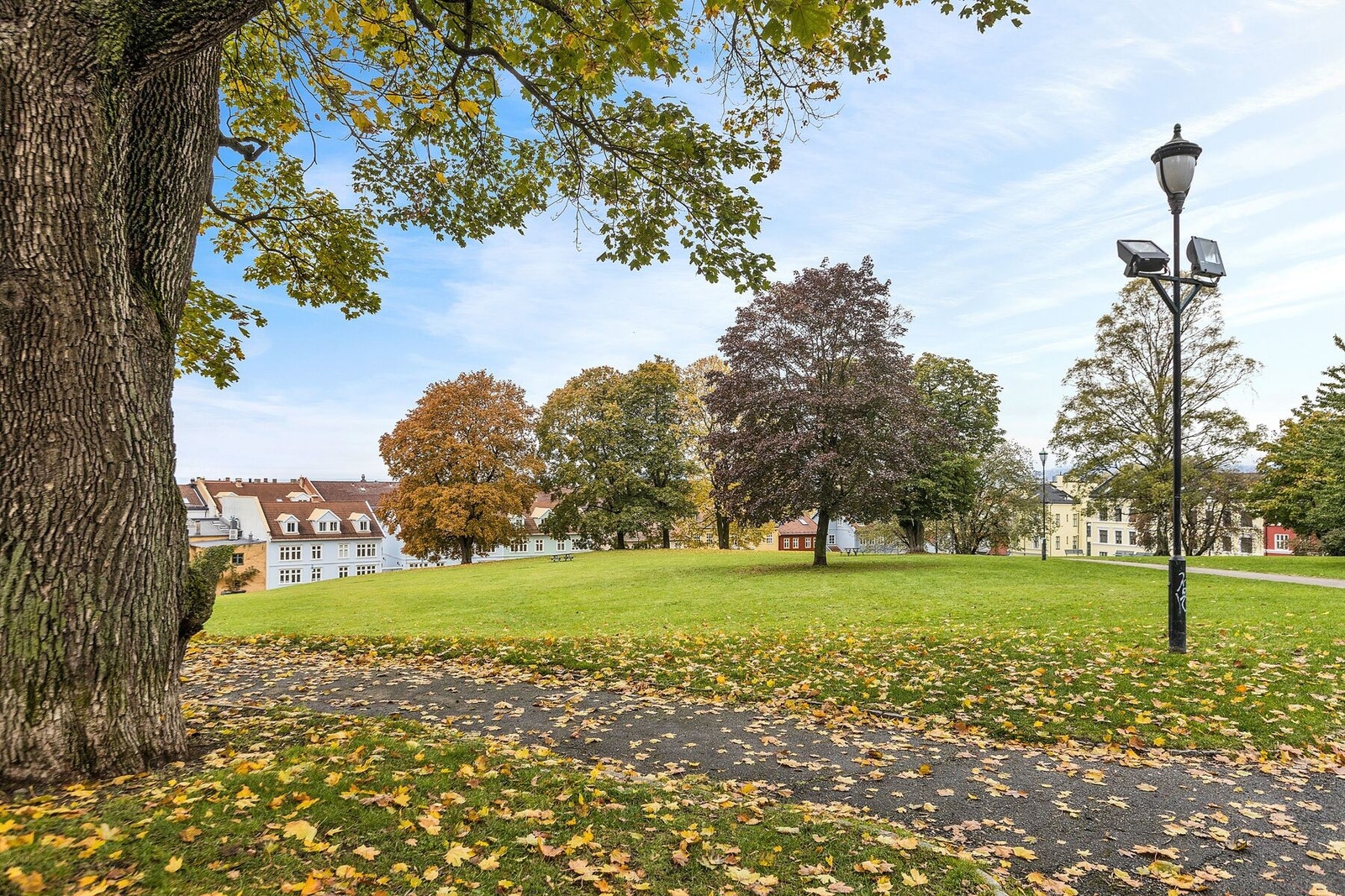 Vålerenga park finner du kun et steinkast unna boligen. Her kan man nyte varme sommerdager. Galleribilde