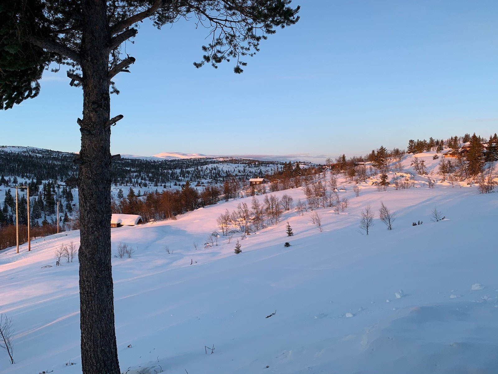 Flott området med mange fine turmuligheter - Selgers bilde Galleribilde
