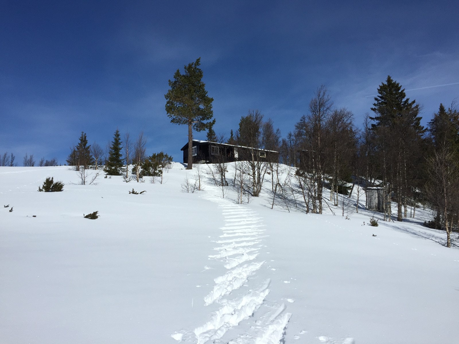 Vinterbilde fra selgers arkiv Galleribilde