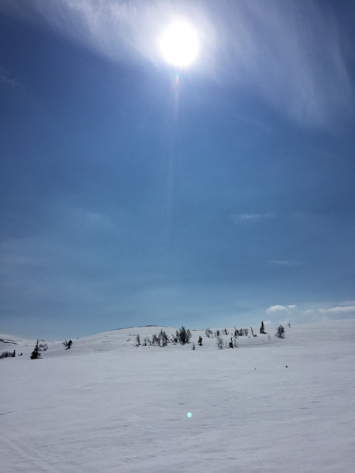 Vinterbilde fra selger Galleribilde