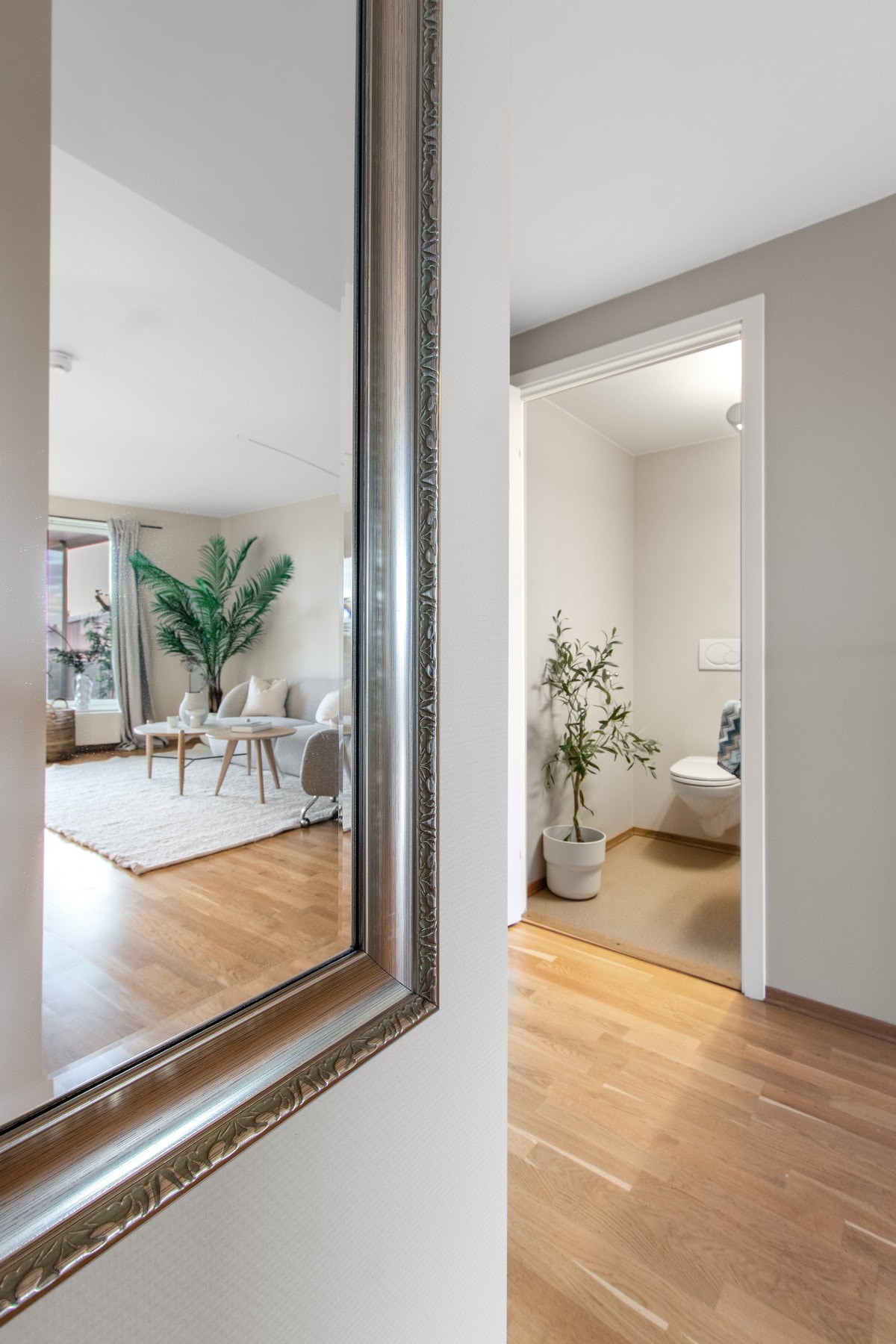 Detaljbilde. Galleribilde