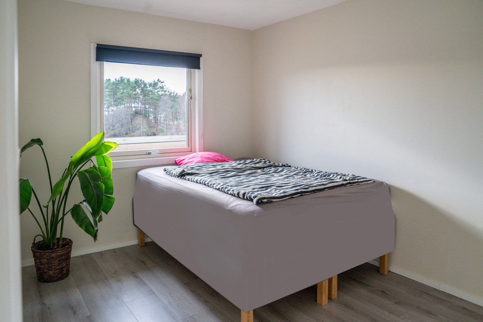 - Et herlig soverom - Galleribilde