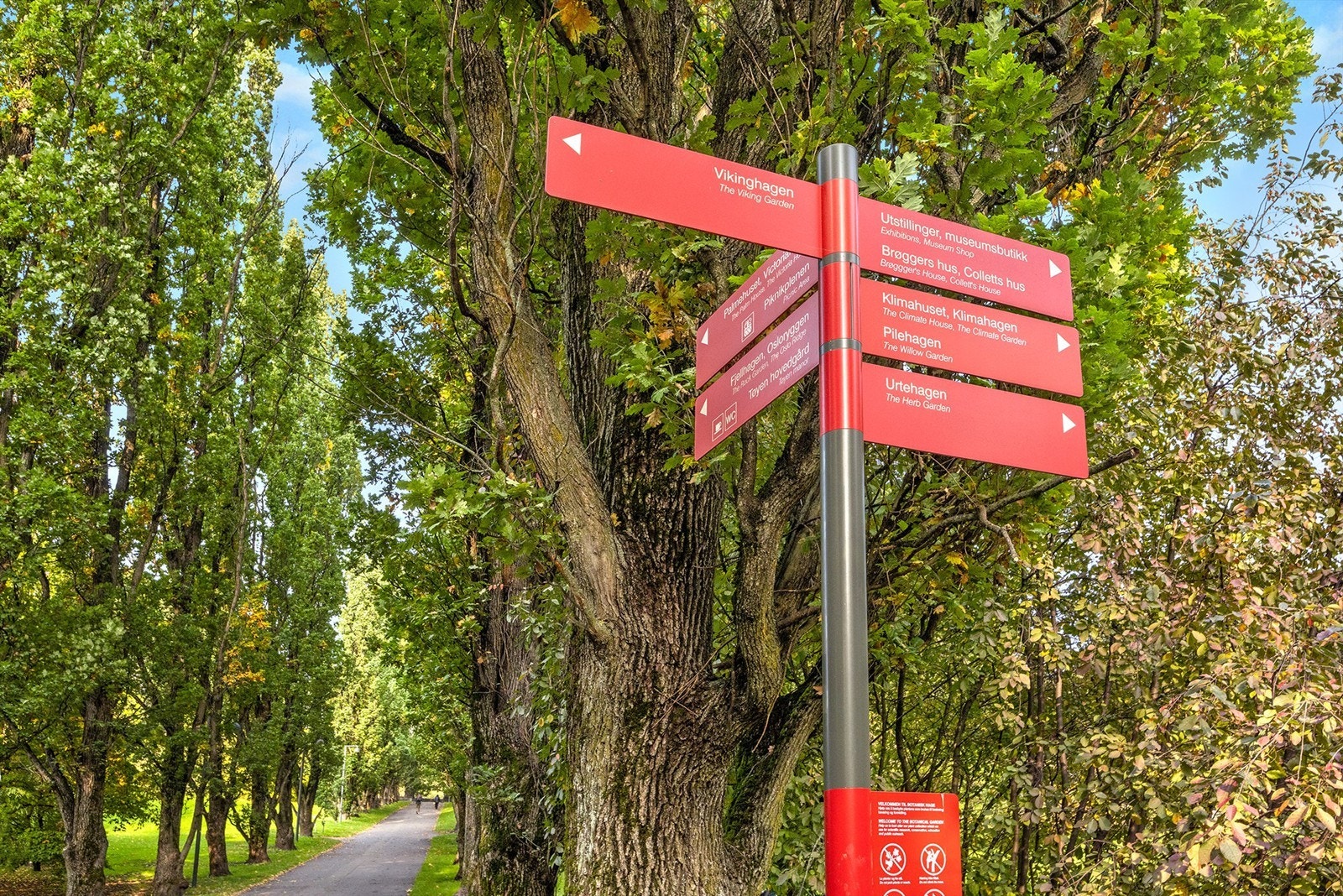 Rikelig med turmuligheter i nærheten. Galleribilde
