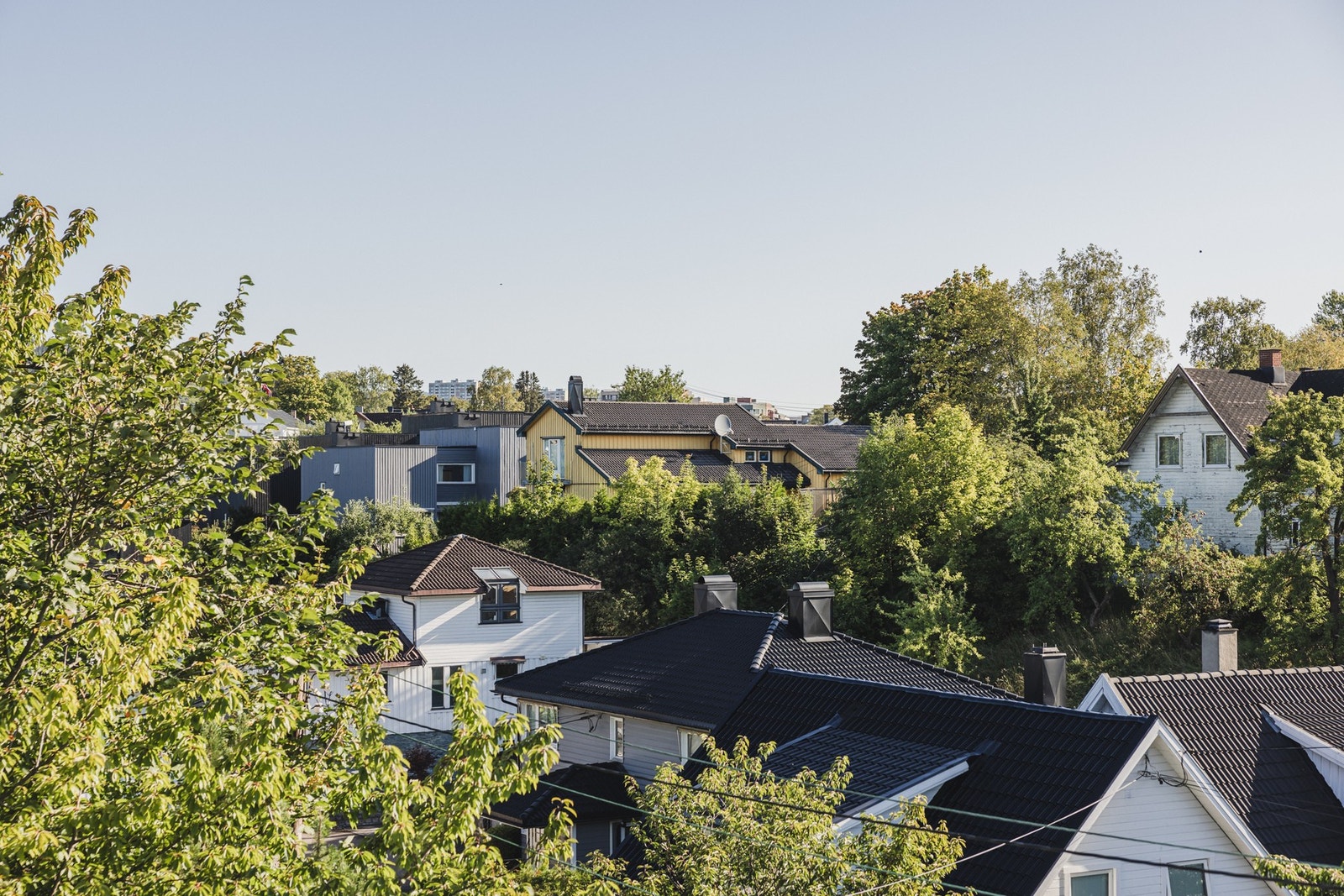 Flott og frodig utsikt fra terrassen. Galleribilde