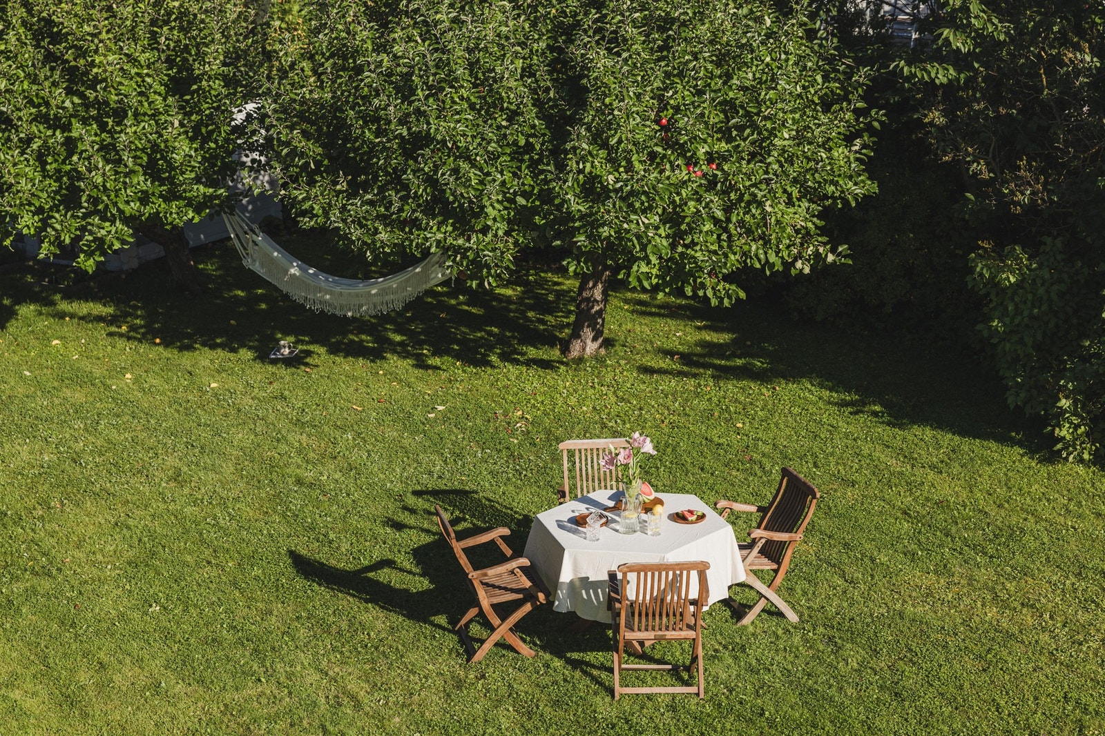 Hva med hageselskap til sommeren? Galleribilde