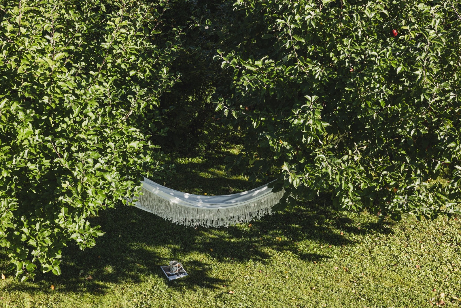 Her ser du ned i hagen fra terrassen. Galleribilde