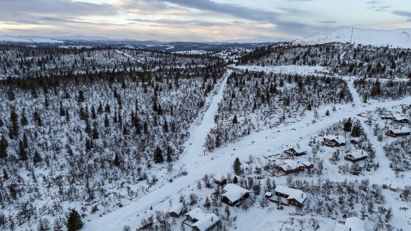 Skiløypene går rett på den andre siden av gulltjønnvegen - her sklir du rett ut i fri natur! Galleribilde
