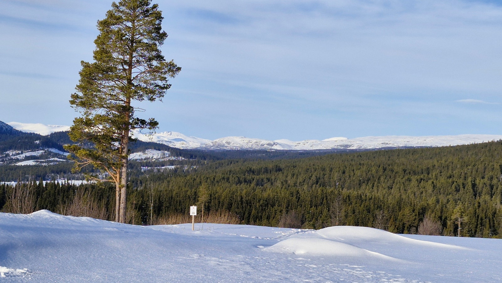 Bilde av tomta med utsikt mot nordvest Galleribilde