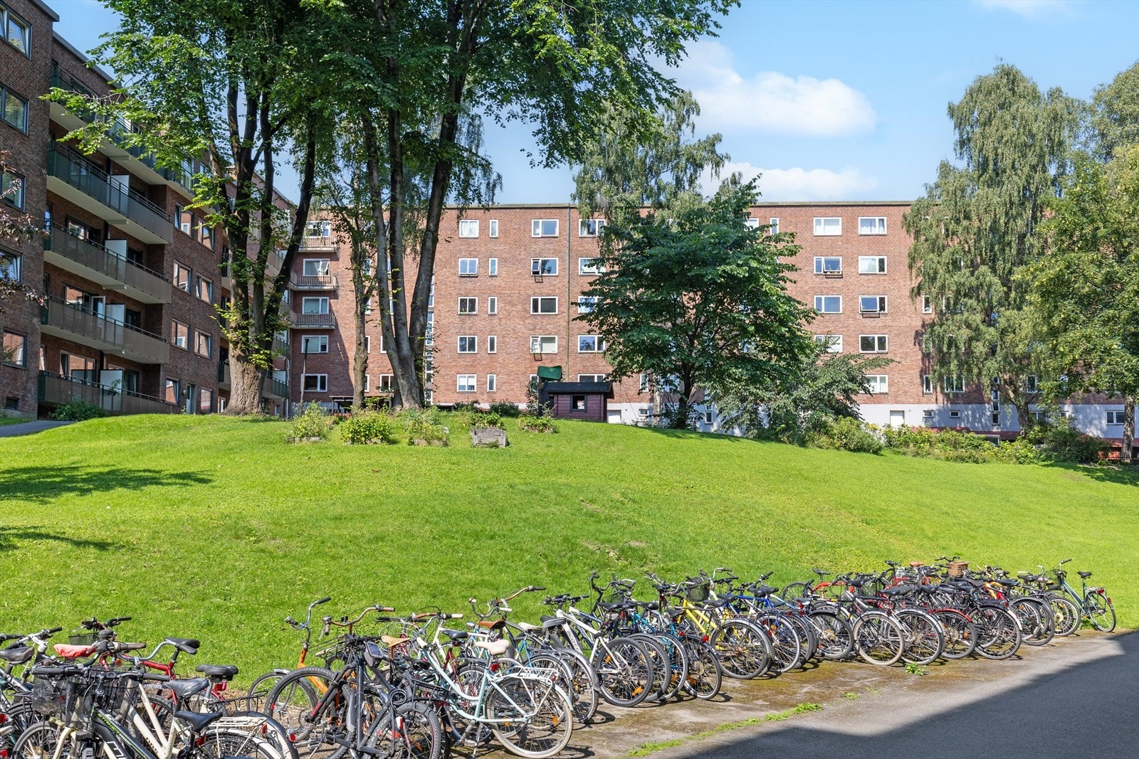 Flott bakgård med grøntarealer og parsellkasser Galleribilde