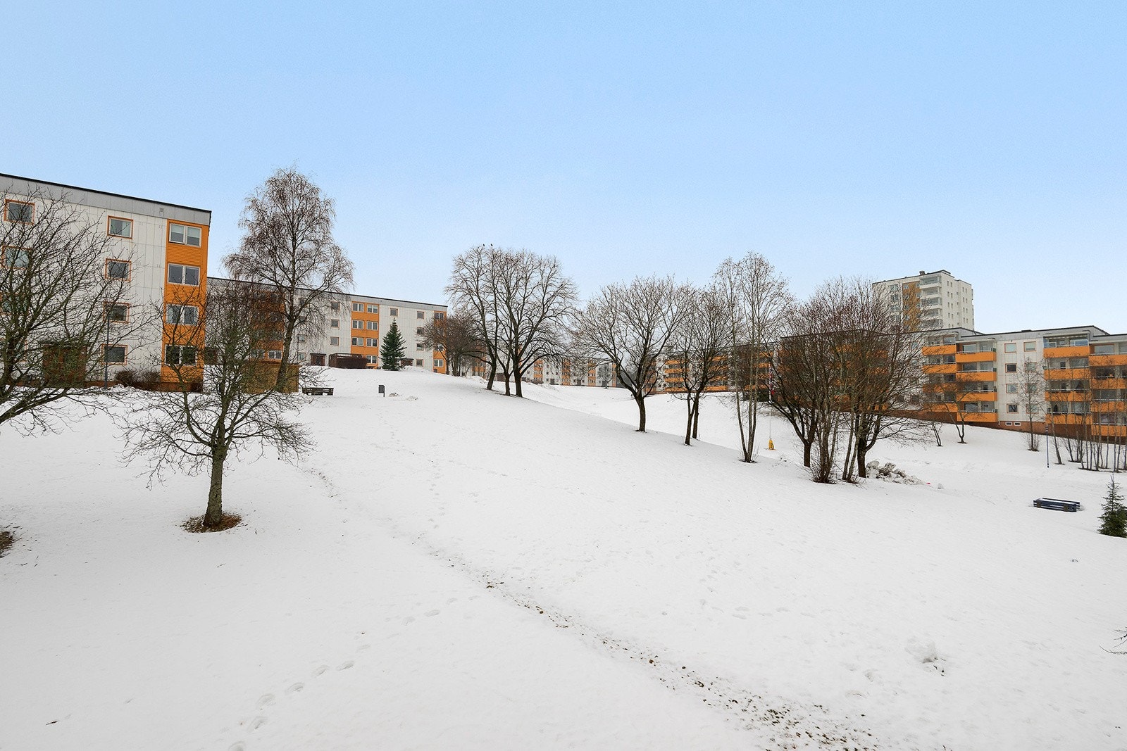 Ute område i borettslaget er pent opparbeidet med grønt arealer, beplanting og interne gangveier Galleribilde