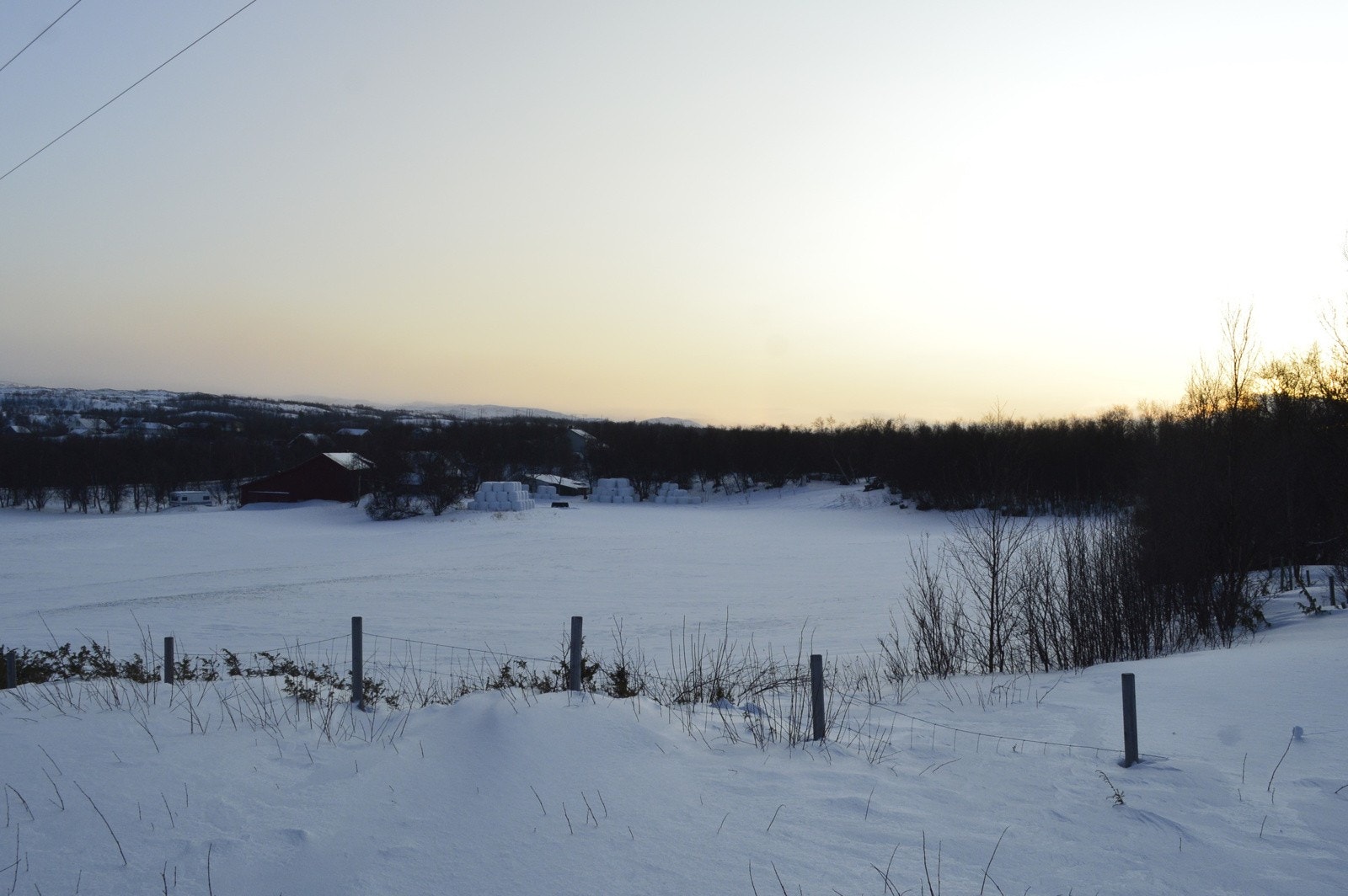 Tomt mot sør Galleribilde