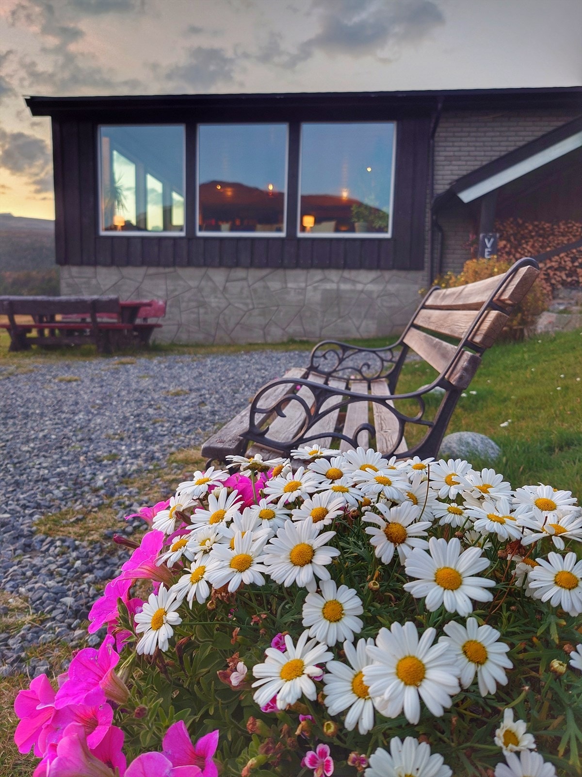 Sommer på fjellet Galleribilde