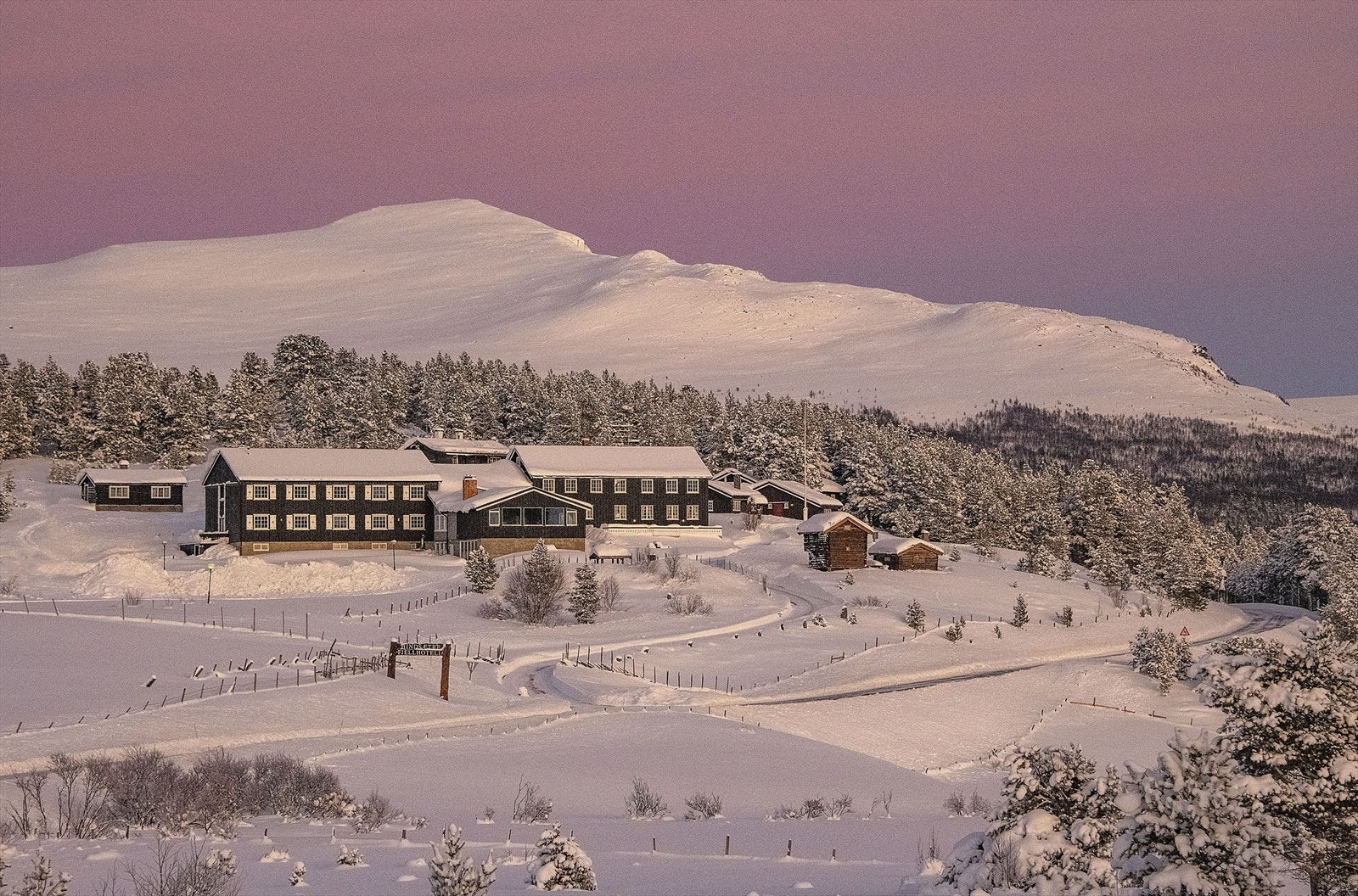 Hindsæter vinter Galleribilde
