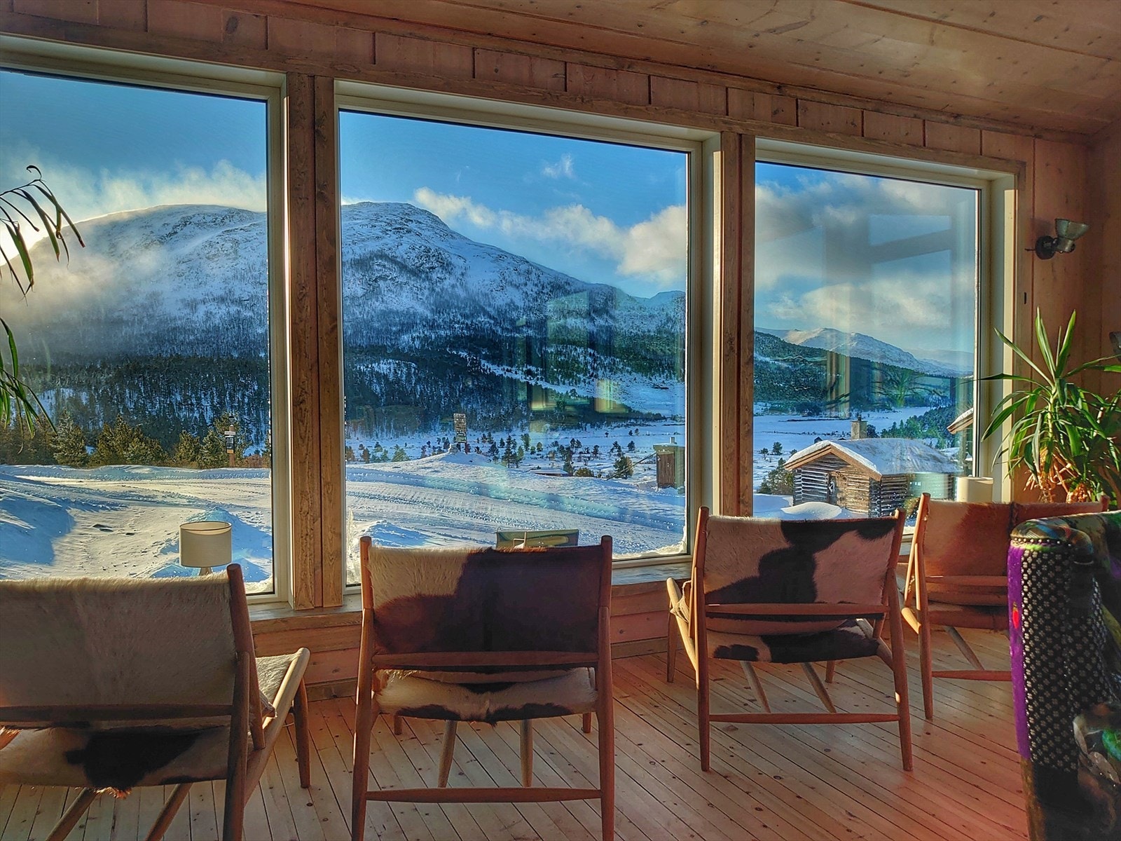 Utsikt til Jotunheimen Galleribilde