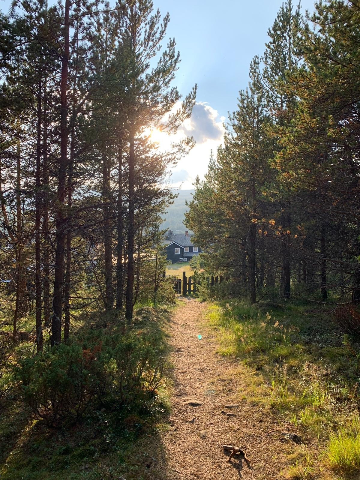 Vandresti til hotellet Galleribilde