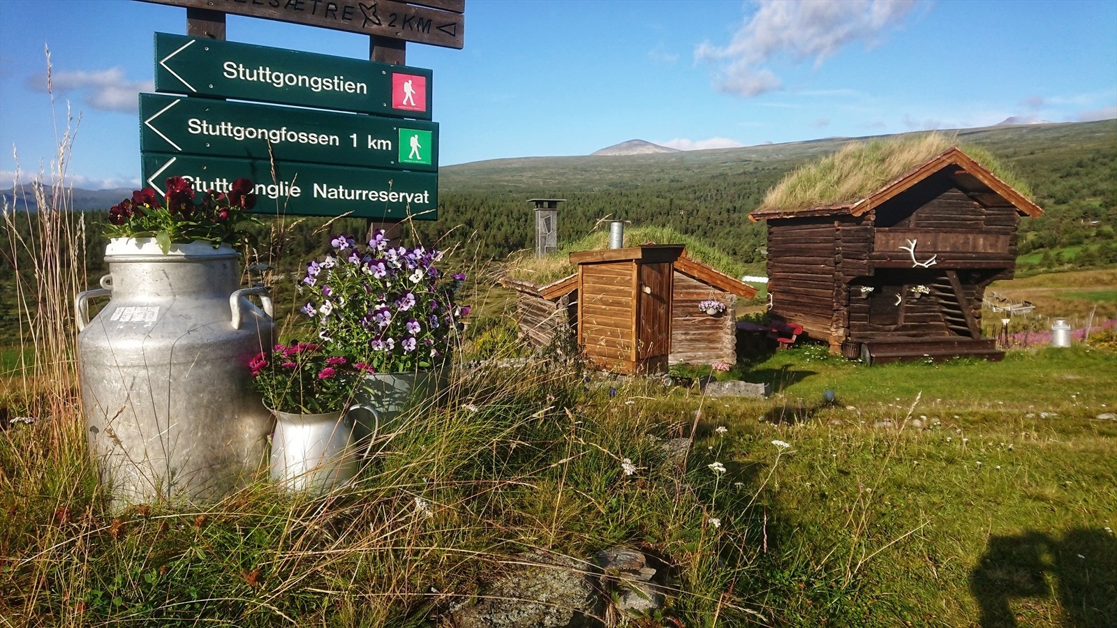 I fra Hindsæter er det et rikt stinett med flere kjente 2000 meter topper i området Galleribilde