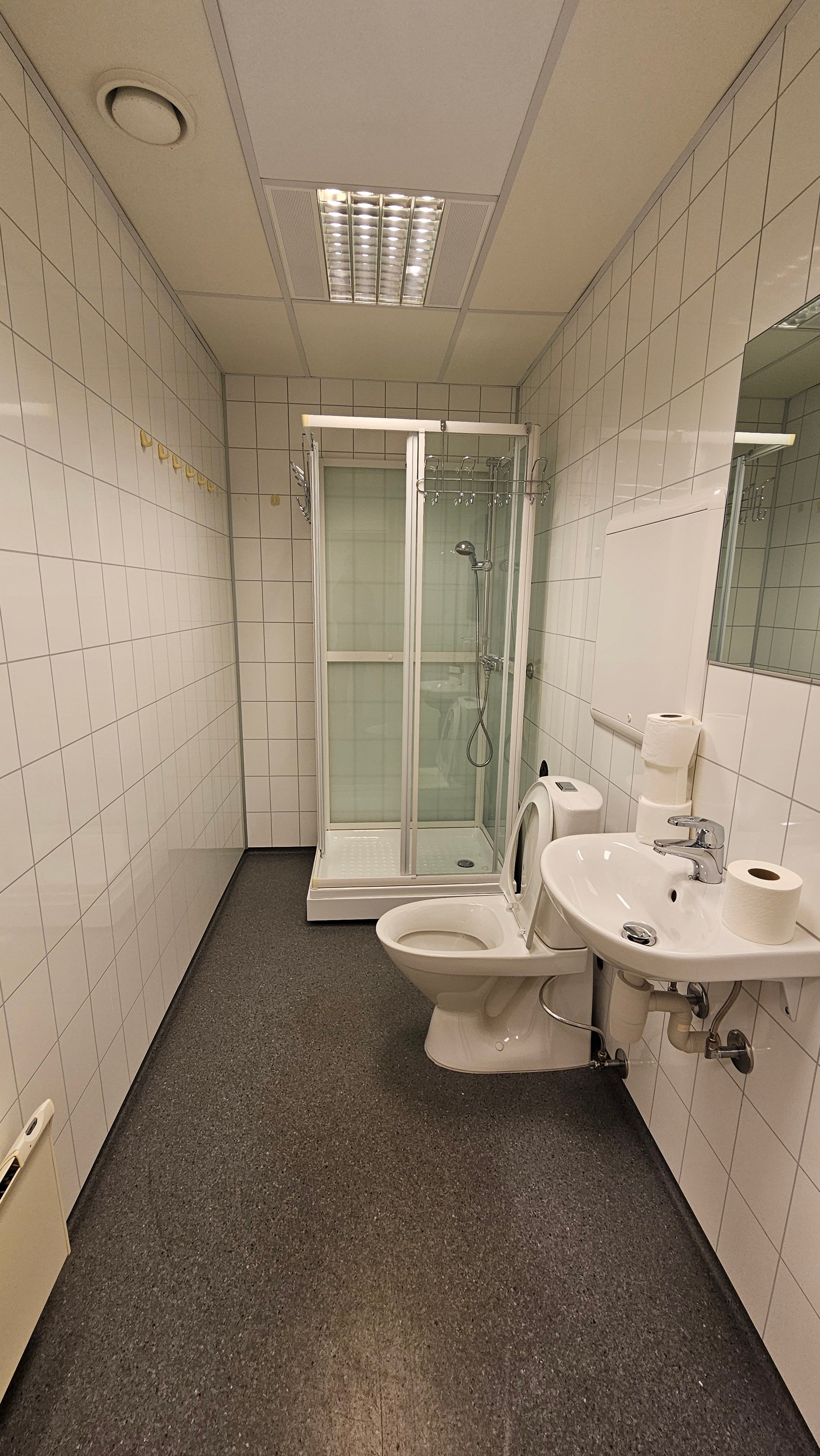 Toalett med dusj Galleribilde