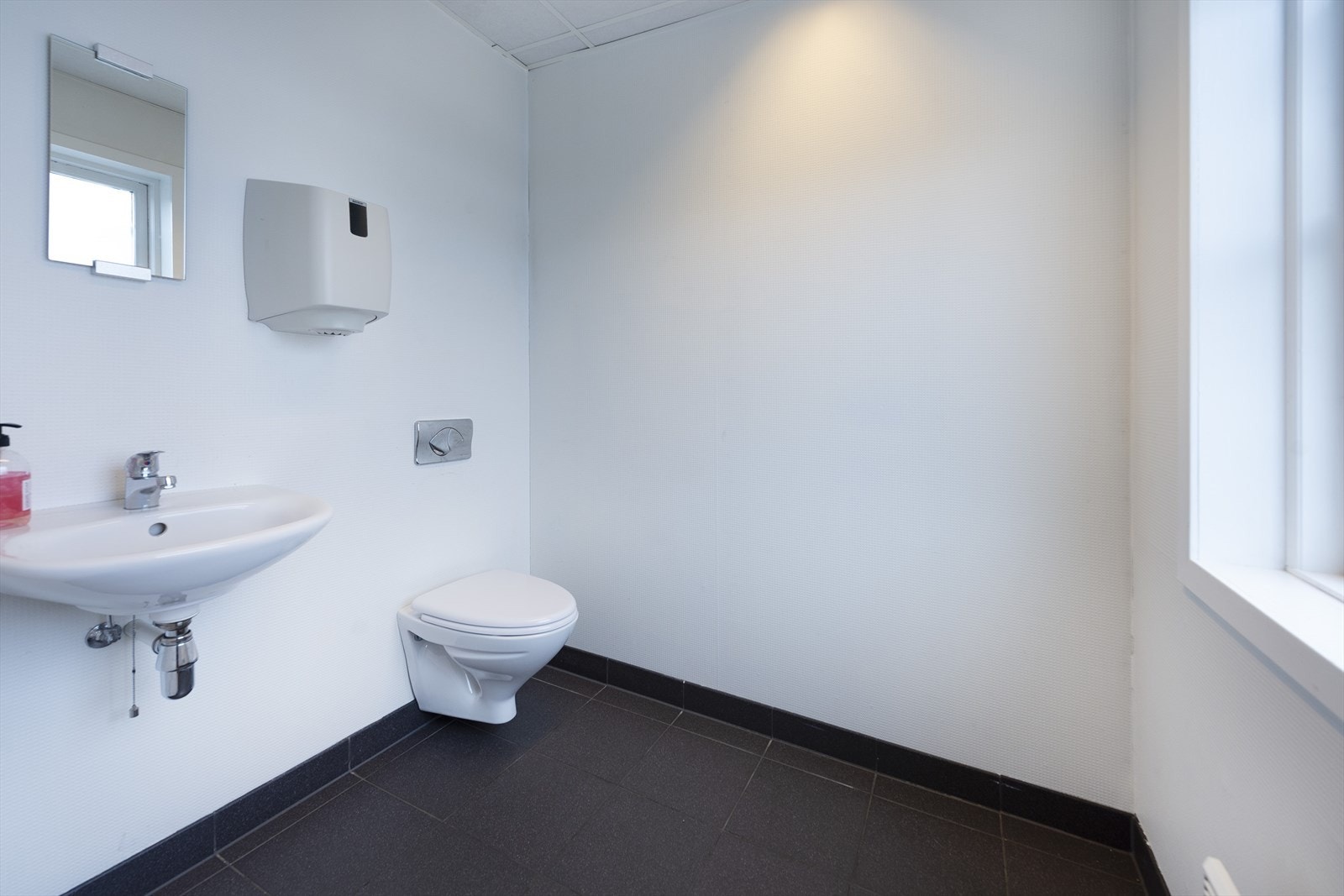 _ROY1008.jpg Galleribilde