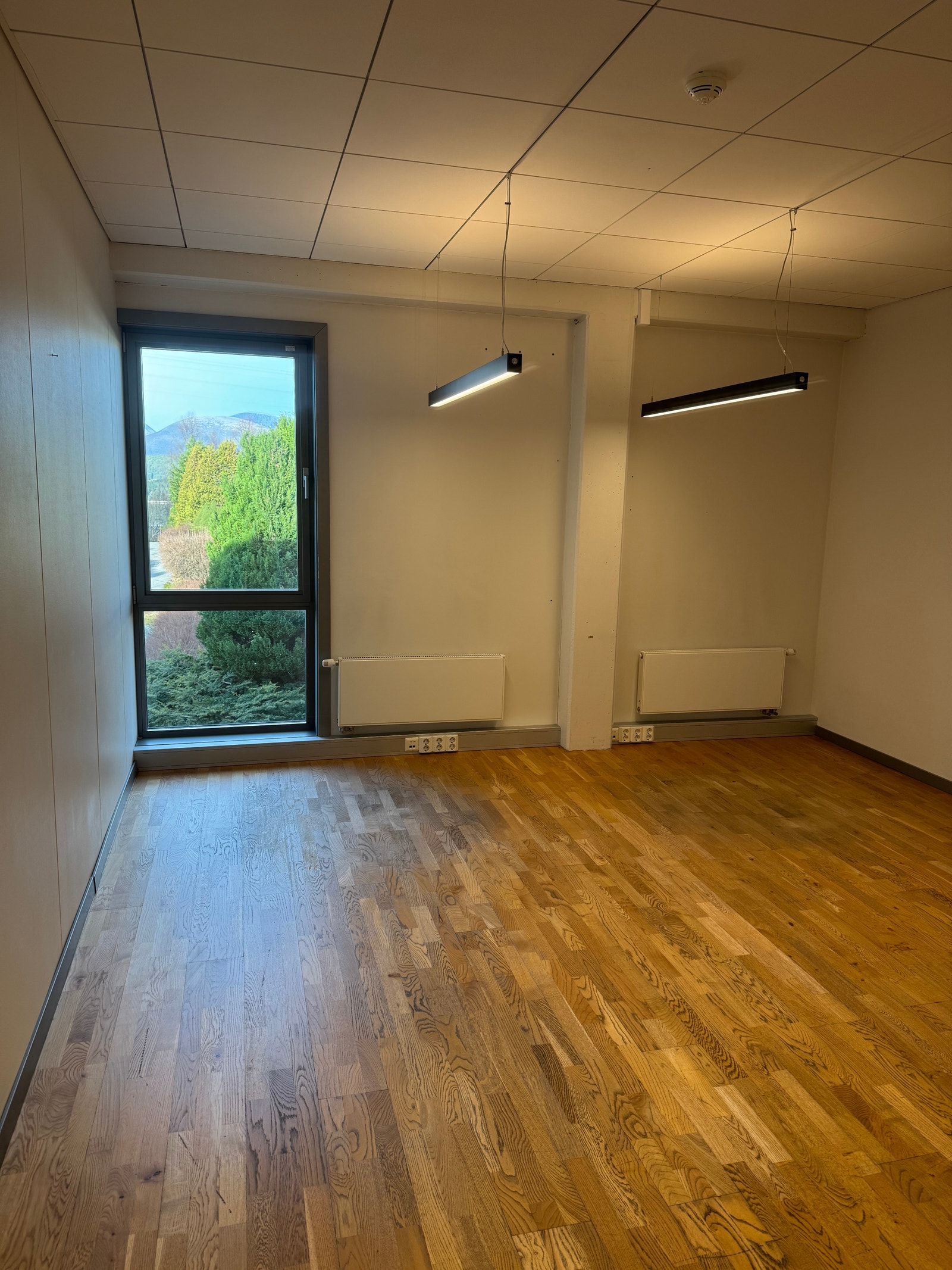 2.etg:Ledig kontor i kontorfelleskap med plass til 2-3 personer (ca 23 kvm) Galleribilde