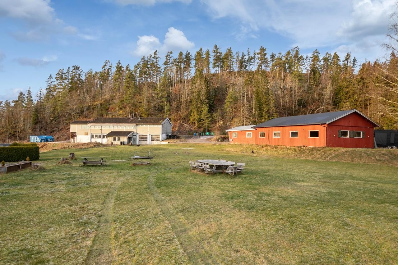 081 Galleribilde
