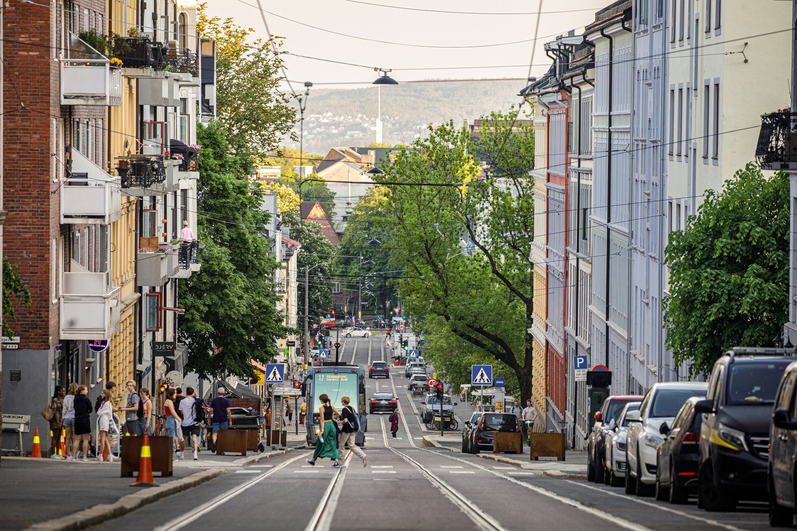 Nærområde Galleribilde