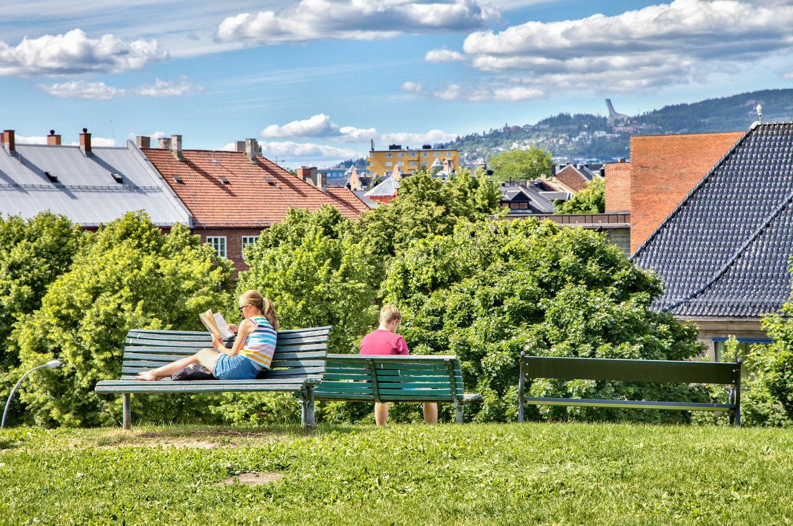 Nærområde Galleribilde