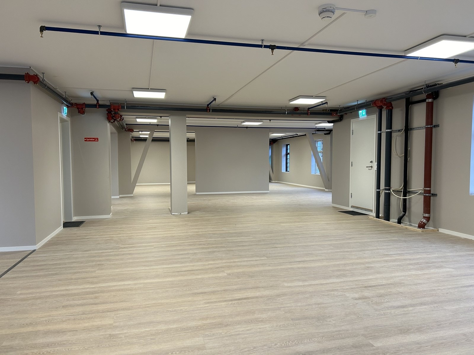 IMG_2916.JPG Galleribilde