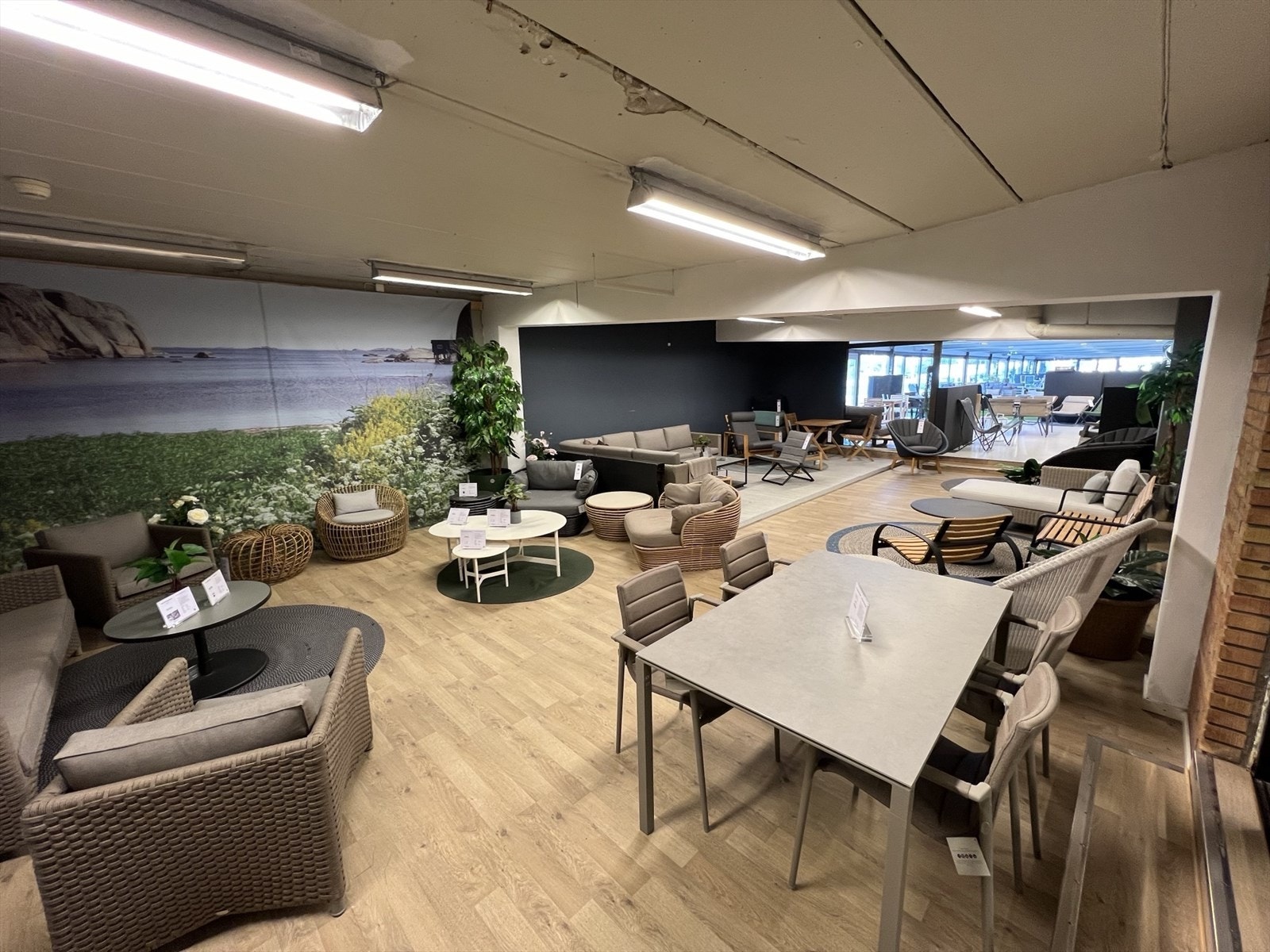 IMG_9403.jpeg Galleribilde