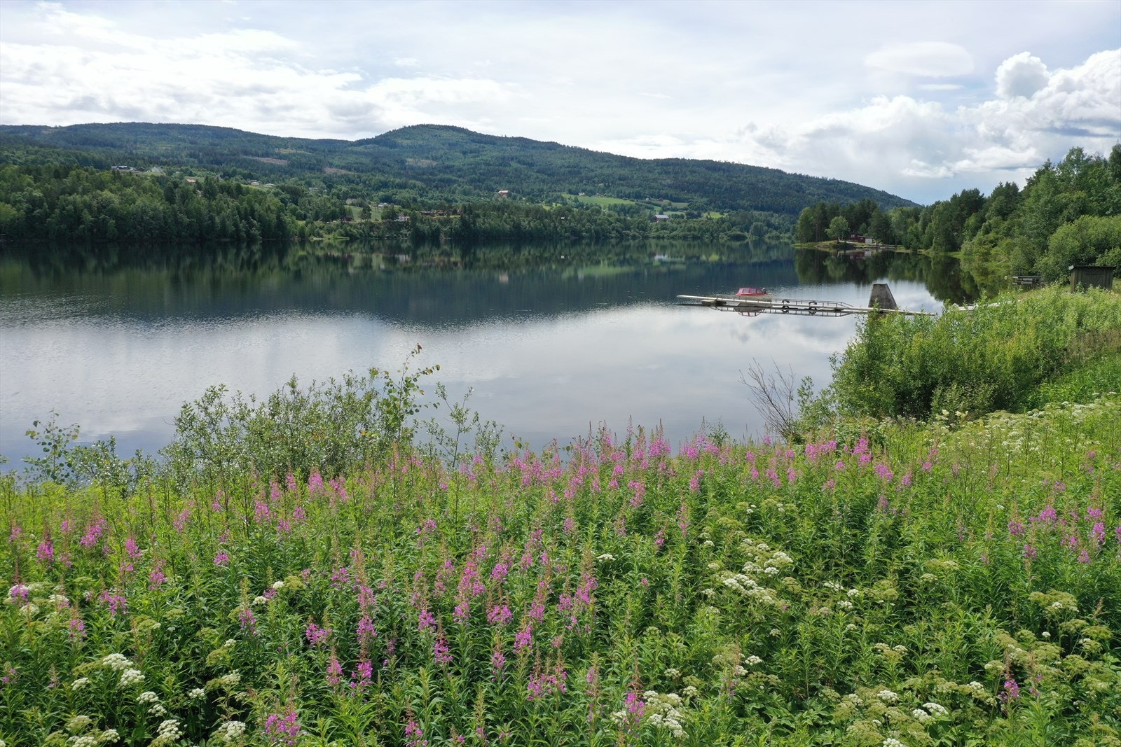 DJI_0601.JPG Galleribilde