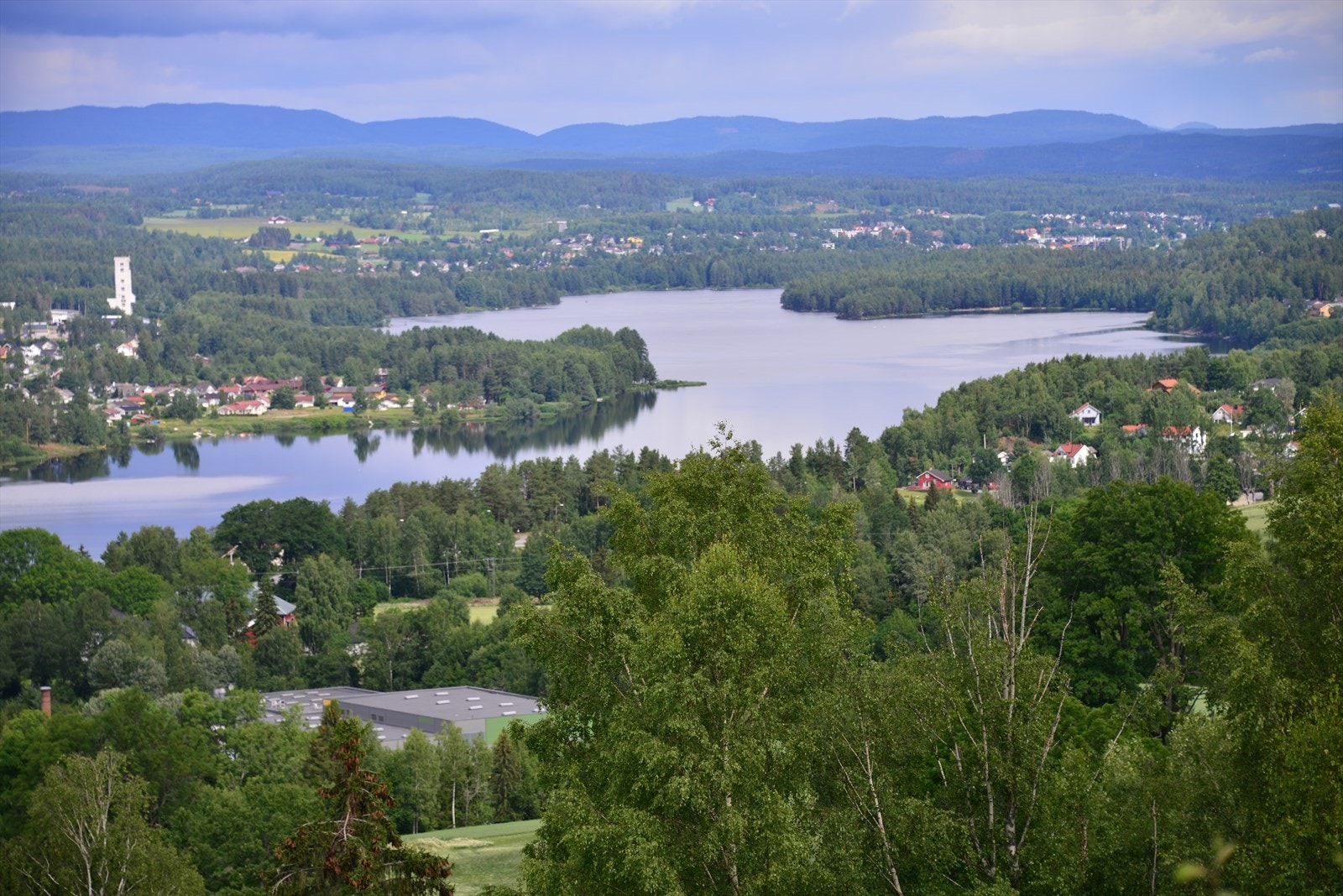 DSC_3451.JPG Galleribilde