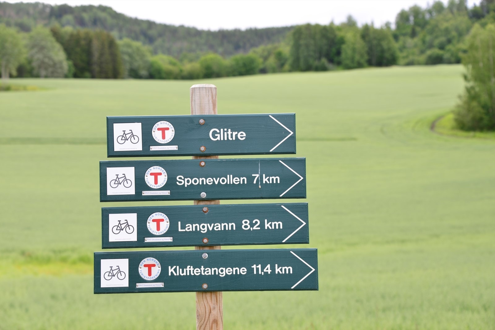 DSC_3437.JPG Galleribilde
