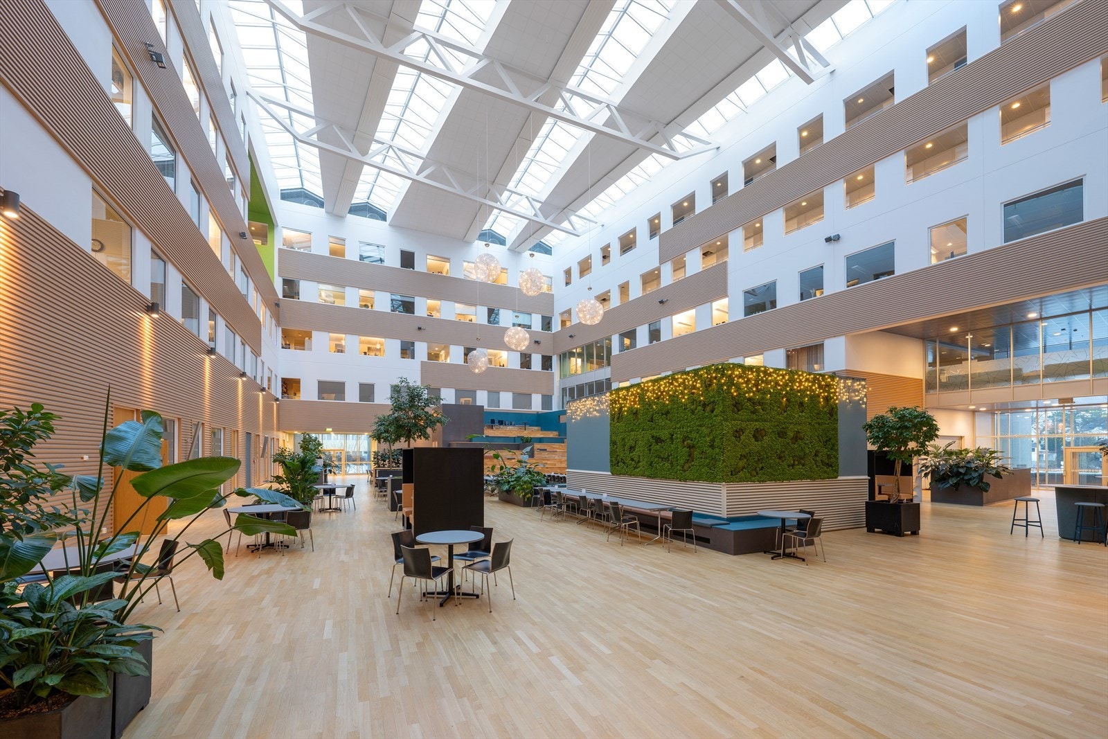 Moderne design og naturlige innslag gir en åpen og innbydende atmosfære. Galleribilde