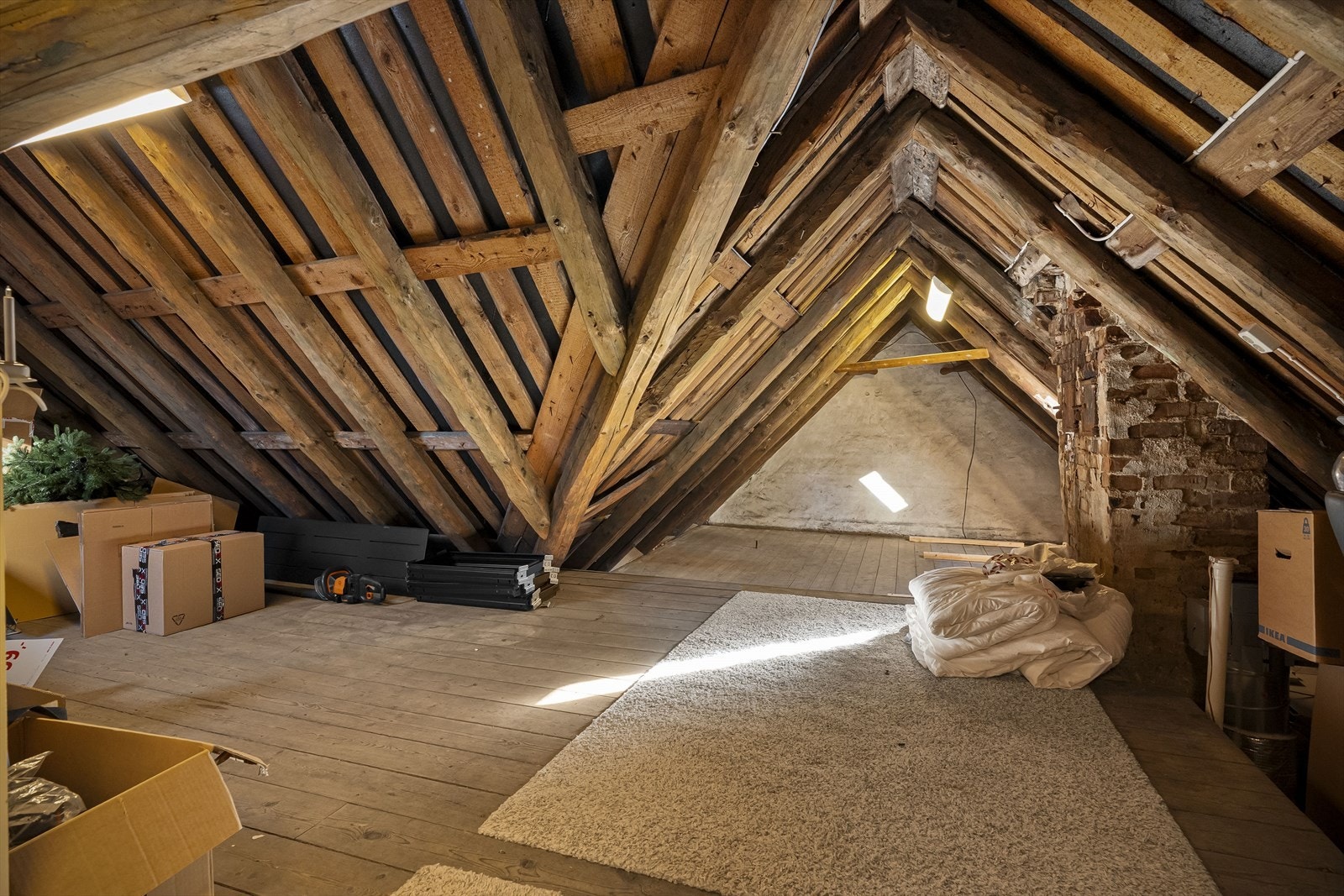 DSCF9708.jpg Galleribilde