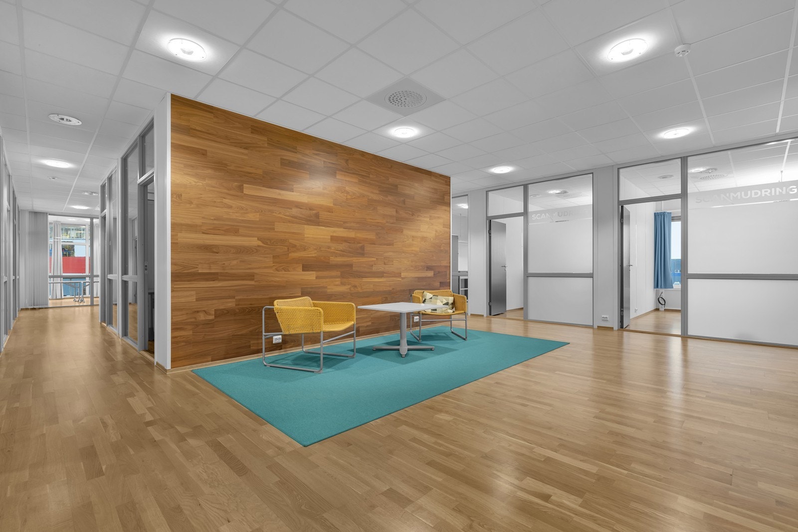 Sosial sone Galleribilde