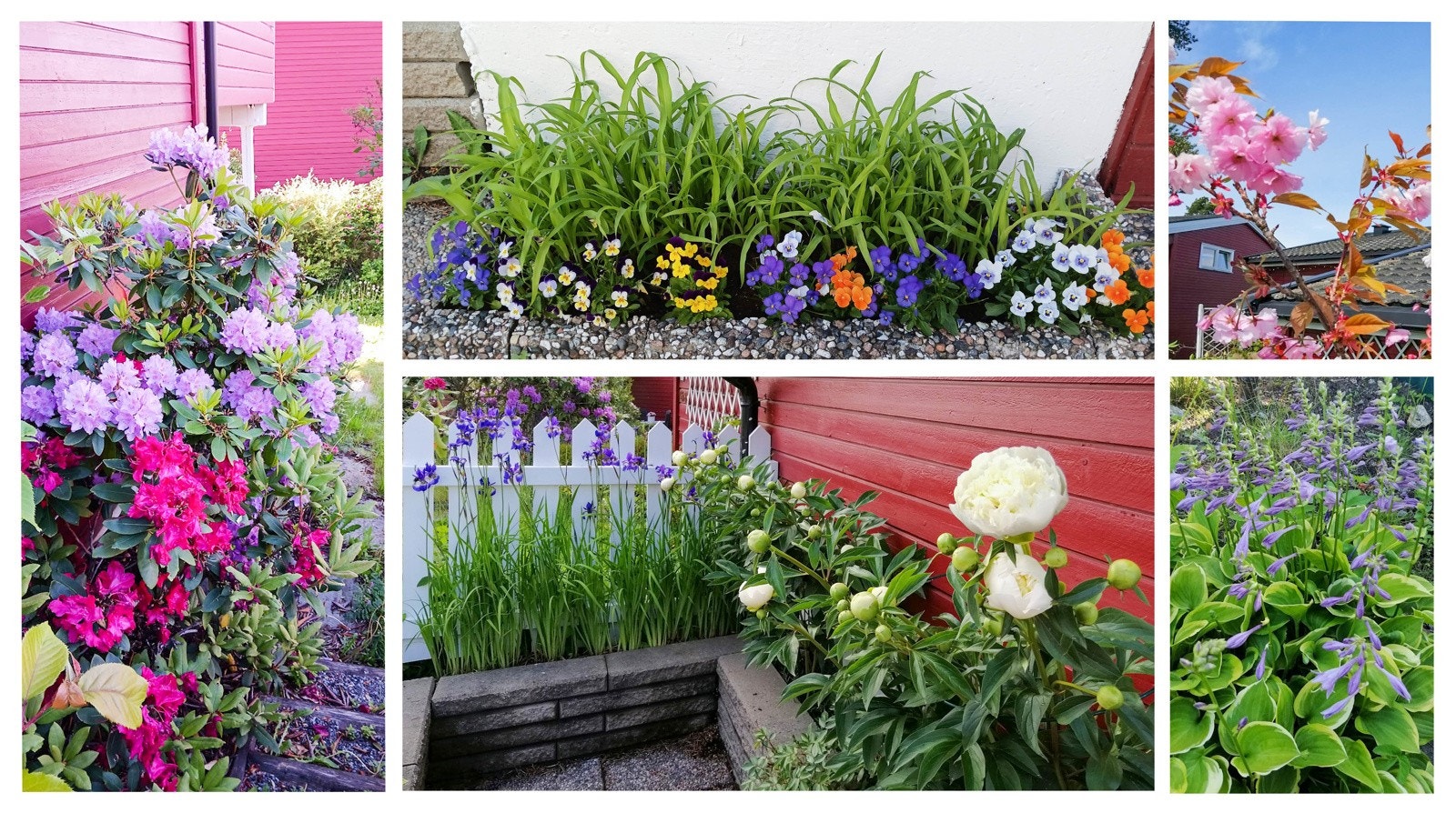 Selgers sommerbilder. Galleribilde