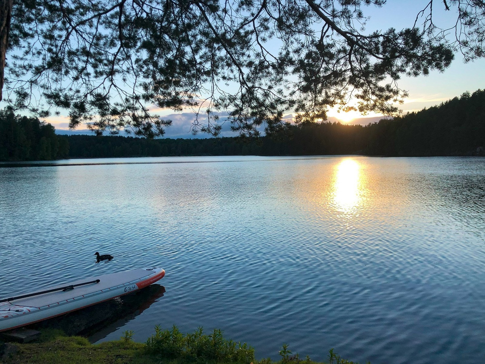 Selgers private bilder fra Nøklevann. Galleribilde