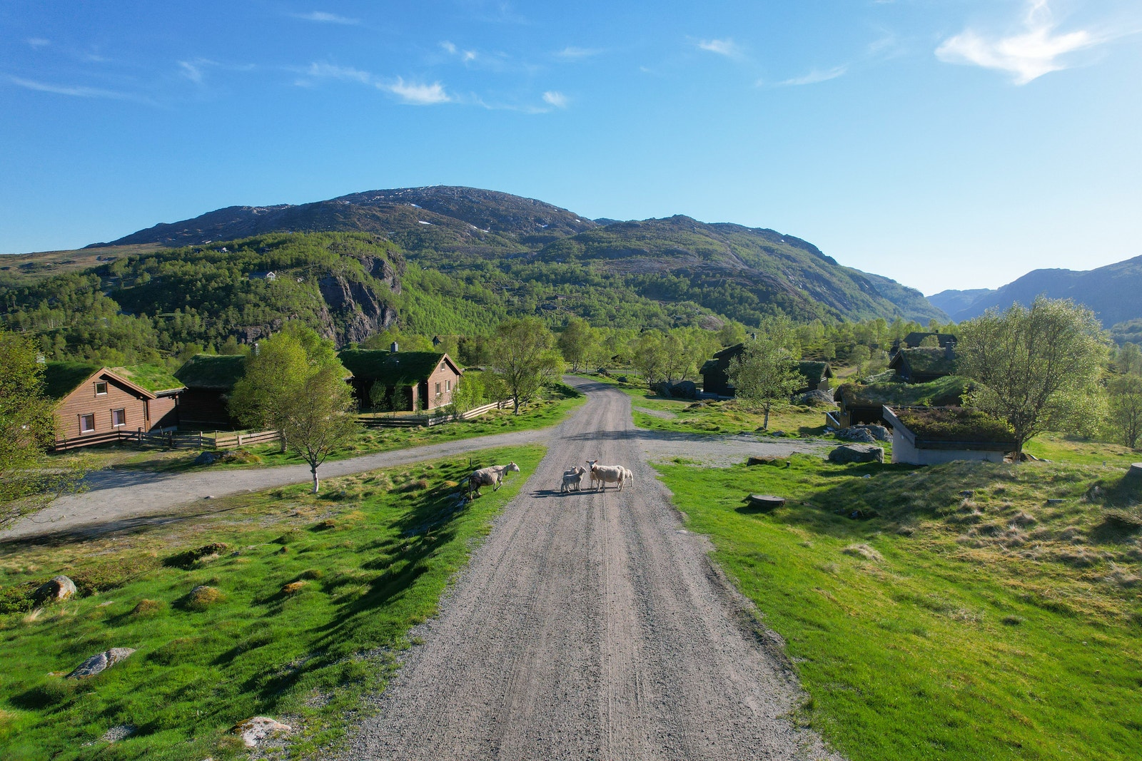 Område hyttefelt Galleribilde