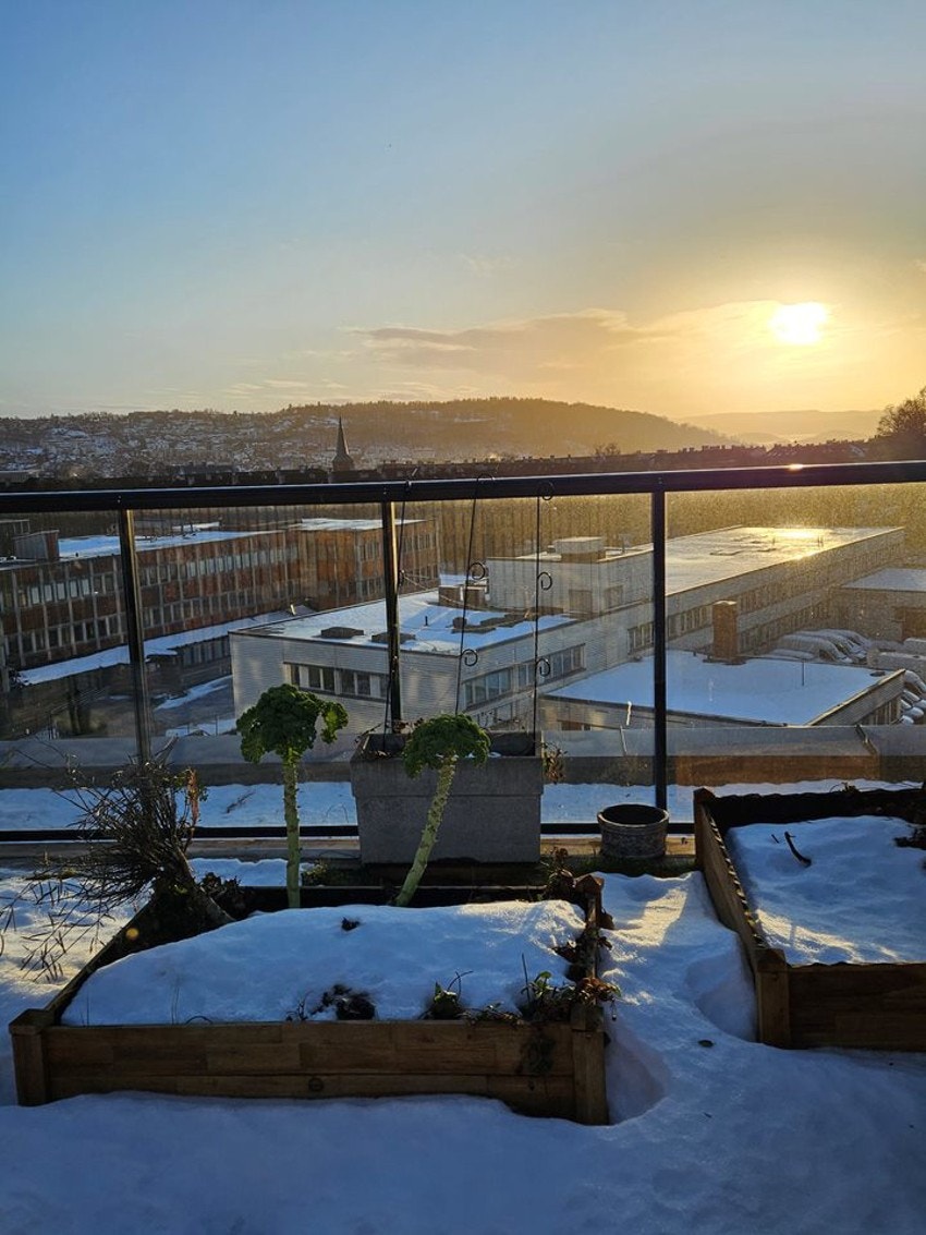 Takterrasse | Utsiktsbilde. Galleribilde