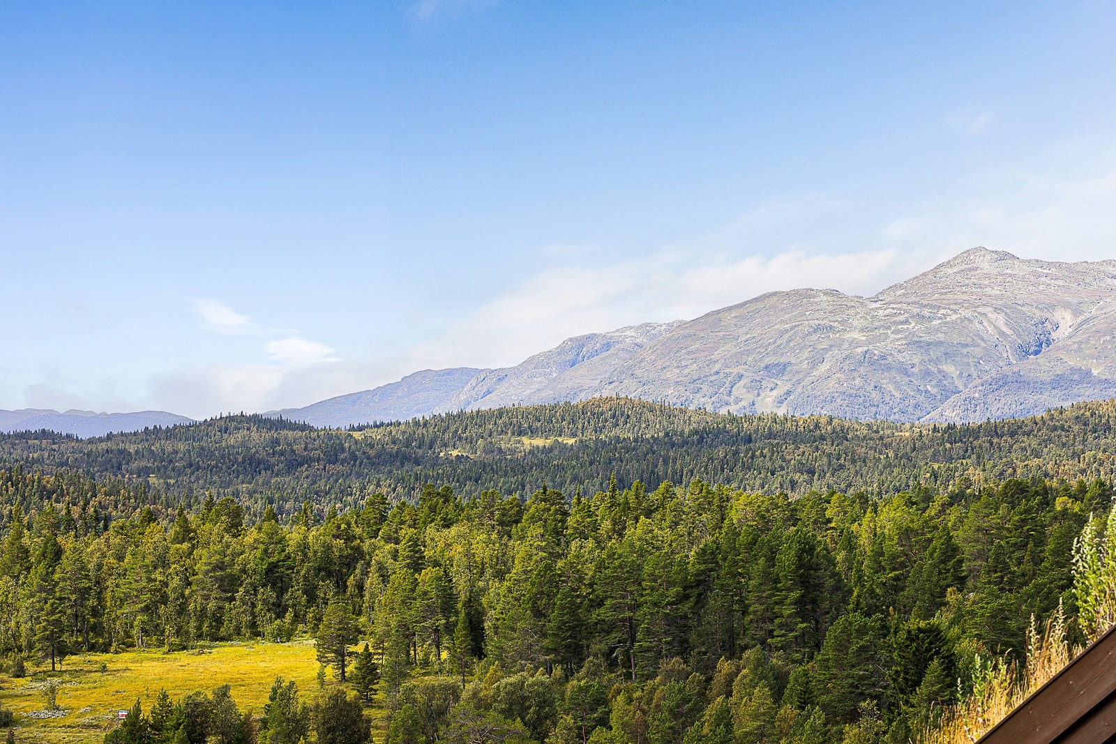 Utsikt sommerstid. Leiligheten ligger flott til med mange opplevelser og aktiviteter rett i nærheten, hele året Galleribilde