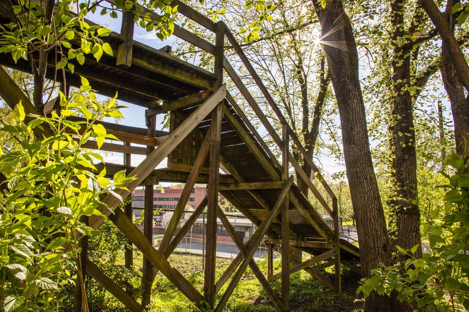 Områdebilde Galleribilde