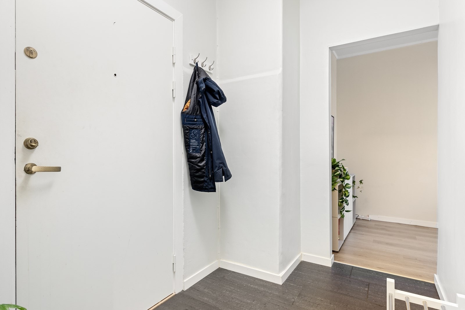 Entréen er romslig med plass til alt av klær og sko. Her er det hyggelig å komme hjem! Galleribilde