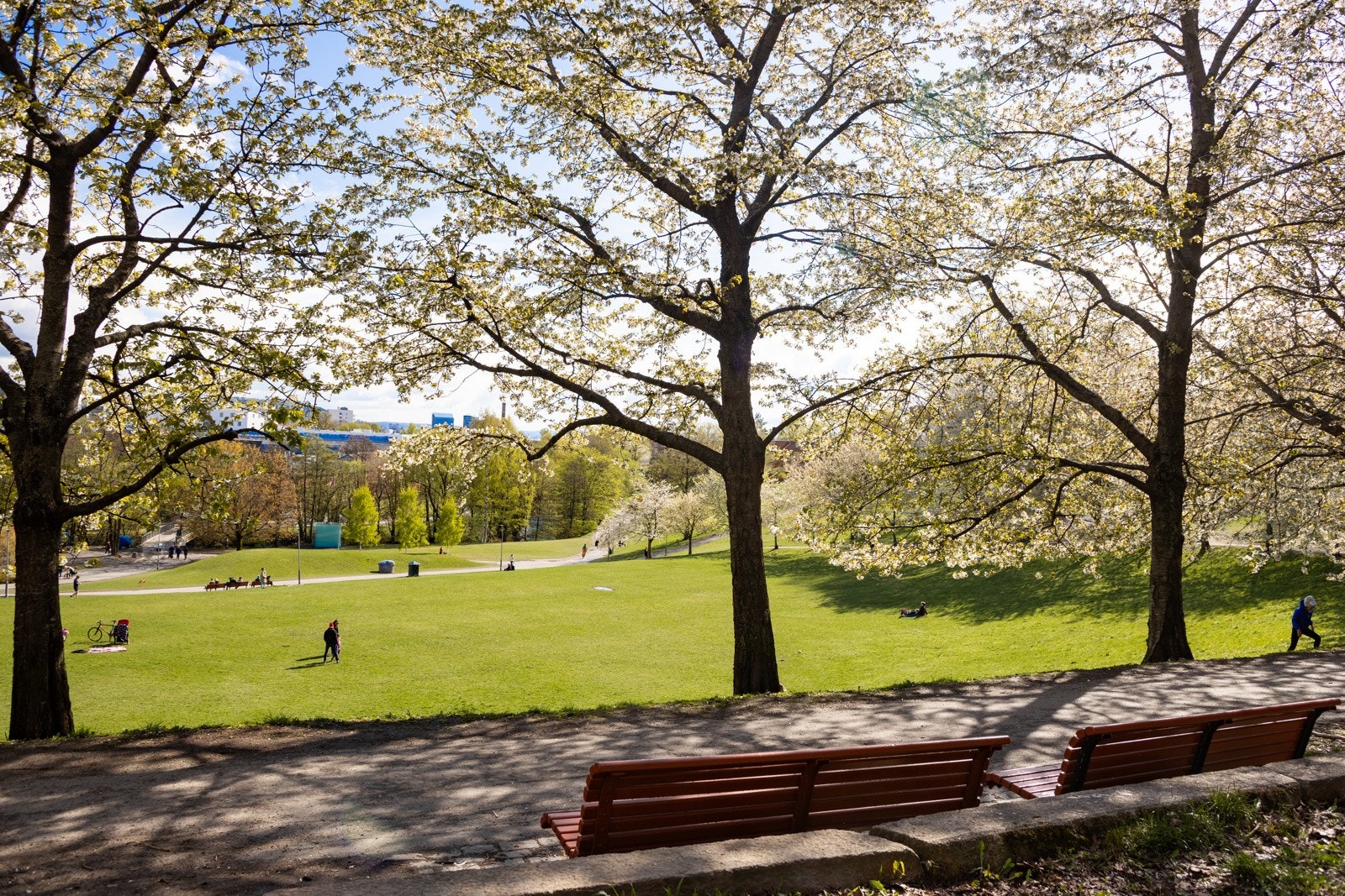 Bydelen kan by på flere fantastiske grøntområder som Myraløkka, Akerselva, Torshovparken, Bjølsenparken og Voldsløkka. Galleribilde