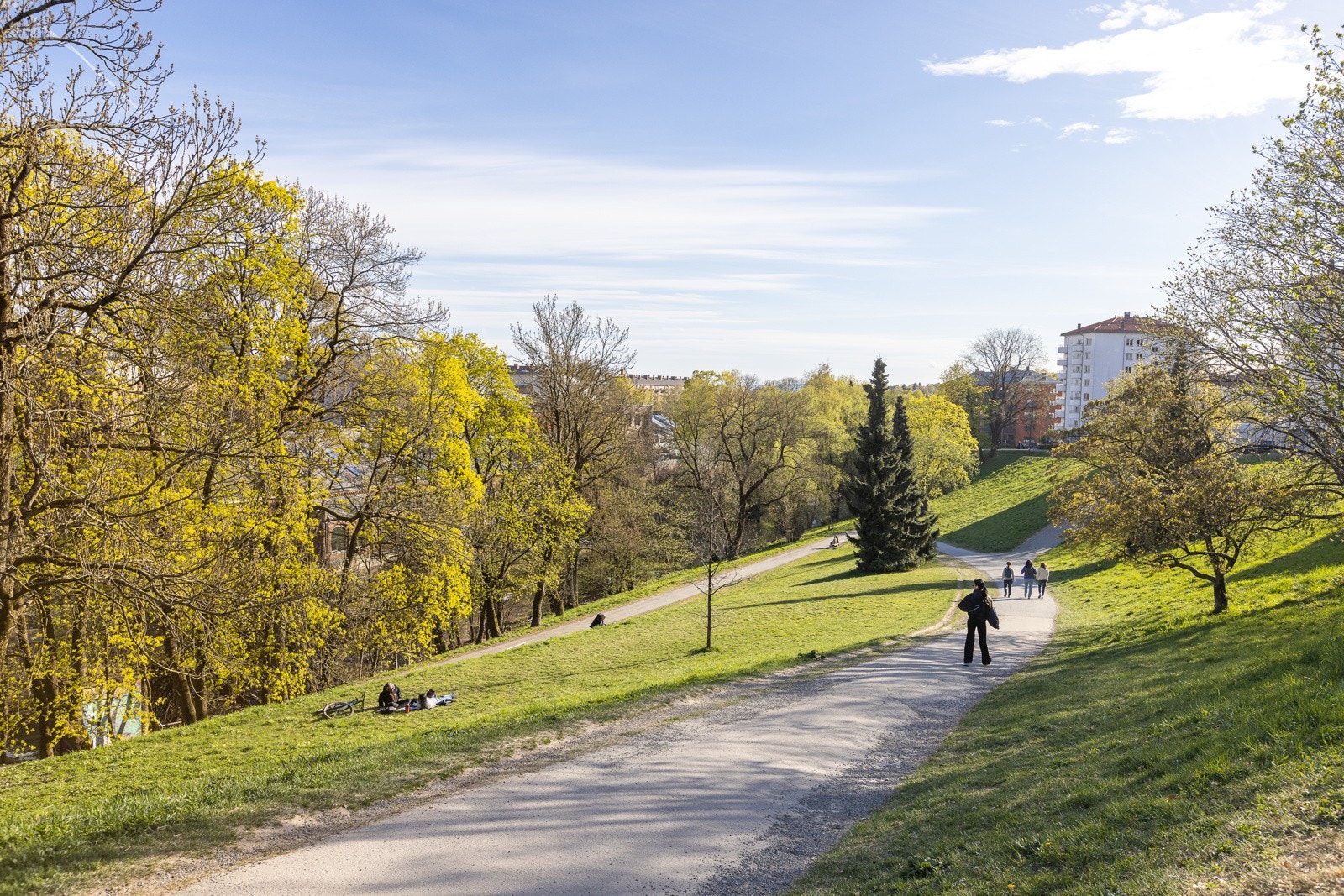 Bydelen kan by på flere fantastiske grøntområder som Myraløkka, Akerselva, Torshovparken, Bjølsenparken og Voldsløkka. Galleribilde