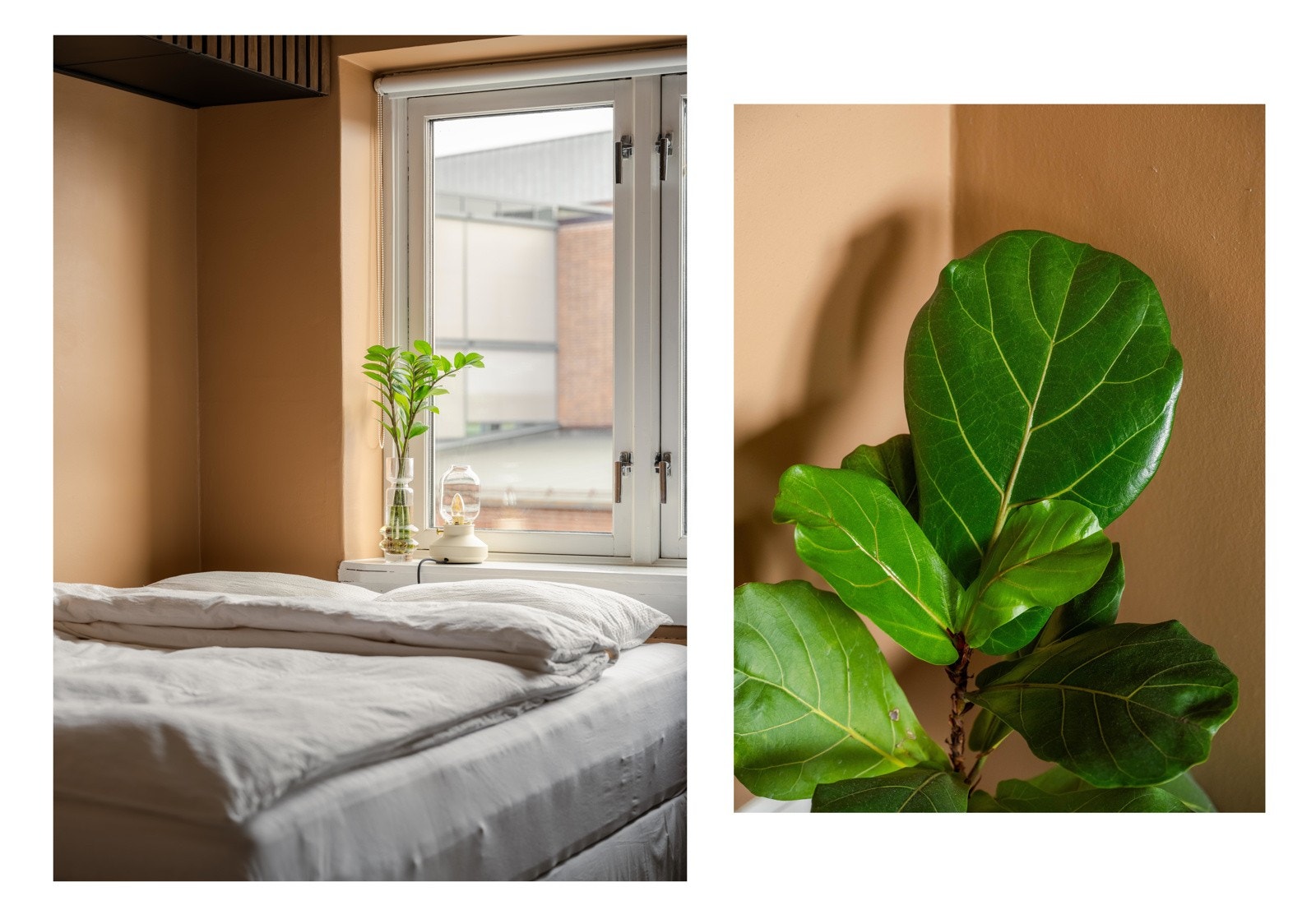 Hele leiligheten vender bort fra gate så her er alt lagt til rette for en god natt søvn. Galleribilde