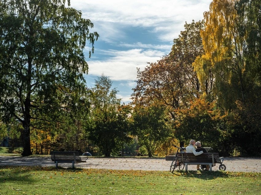 Torshovdalen er også svært frodig og fin, og byr på herlige tur- og rekreasjonsmuligheter. Galleribilde