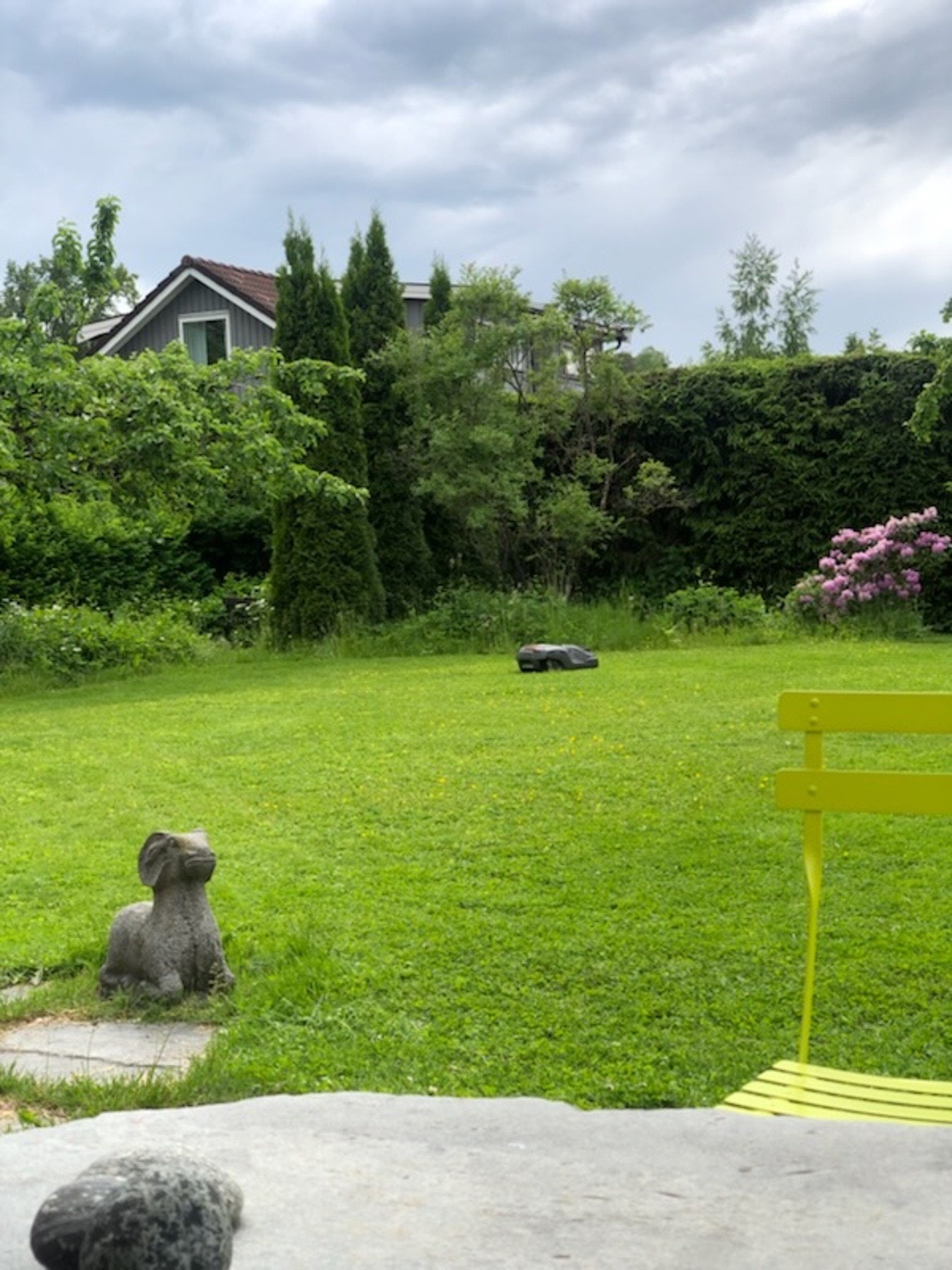 Sommerbilde tatt av selger. Galleribilde