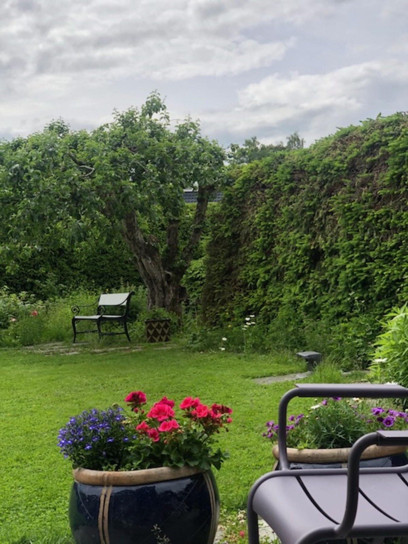 Sommerbilde tatt av selger. Galleribilde