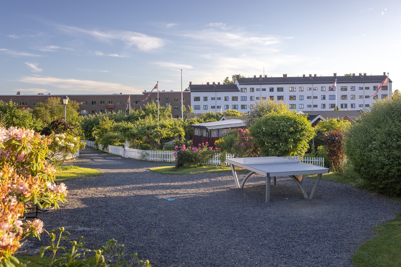 Hjemmets kolonihager - hageidyll midt i byen. Galleribilde