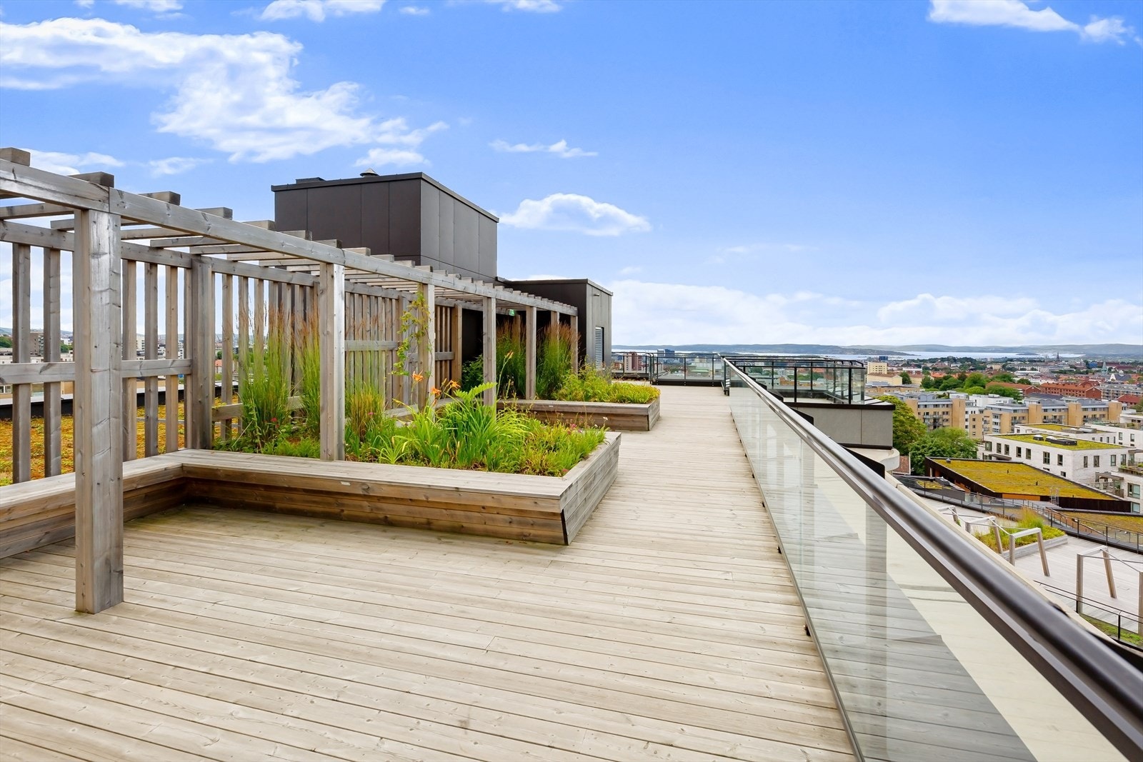 Felles takterrasse med sol hele dagen. Galleribilde